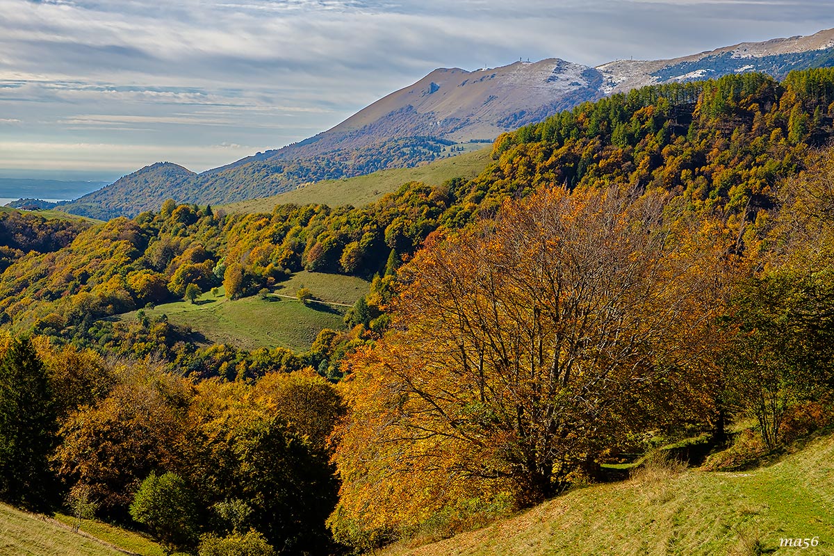 Verso Passo Cerbiolo