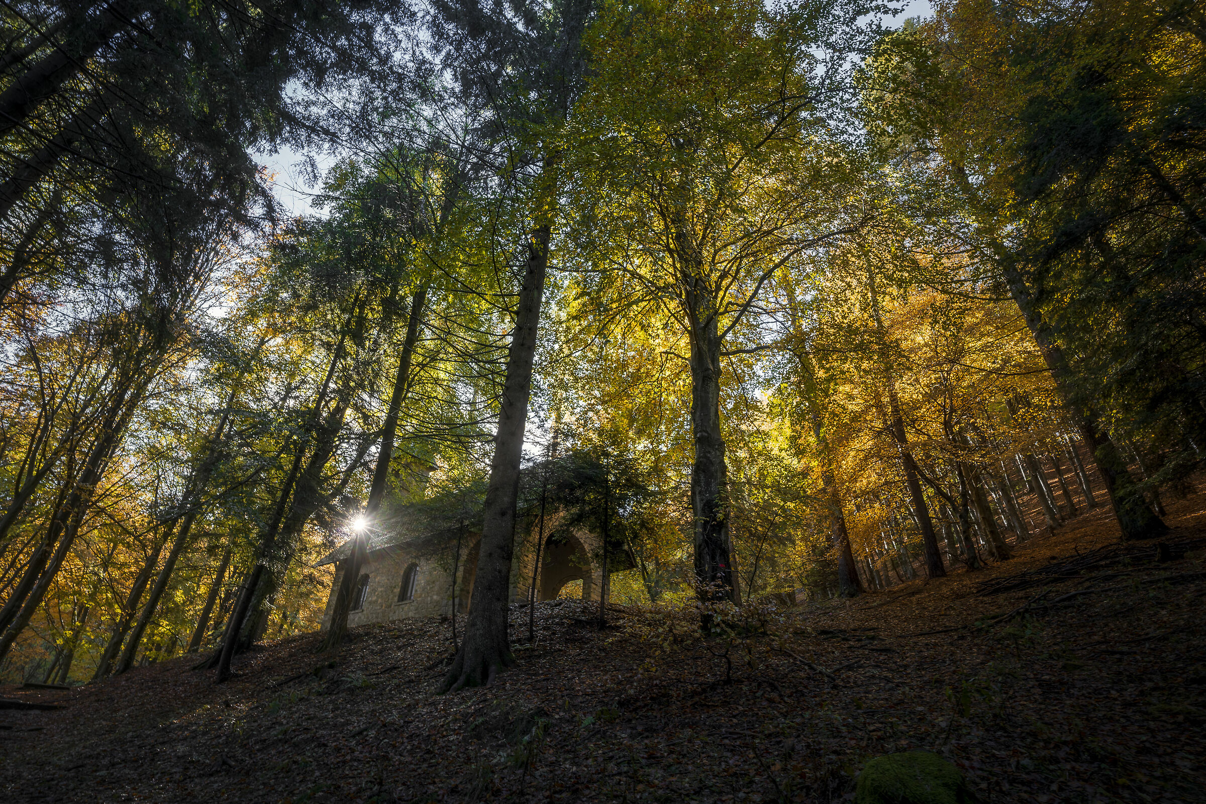 Una chiesetta nella magia del foliage