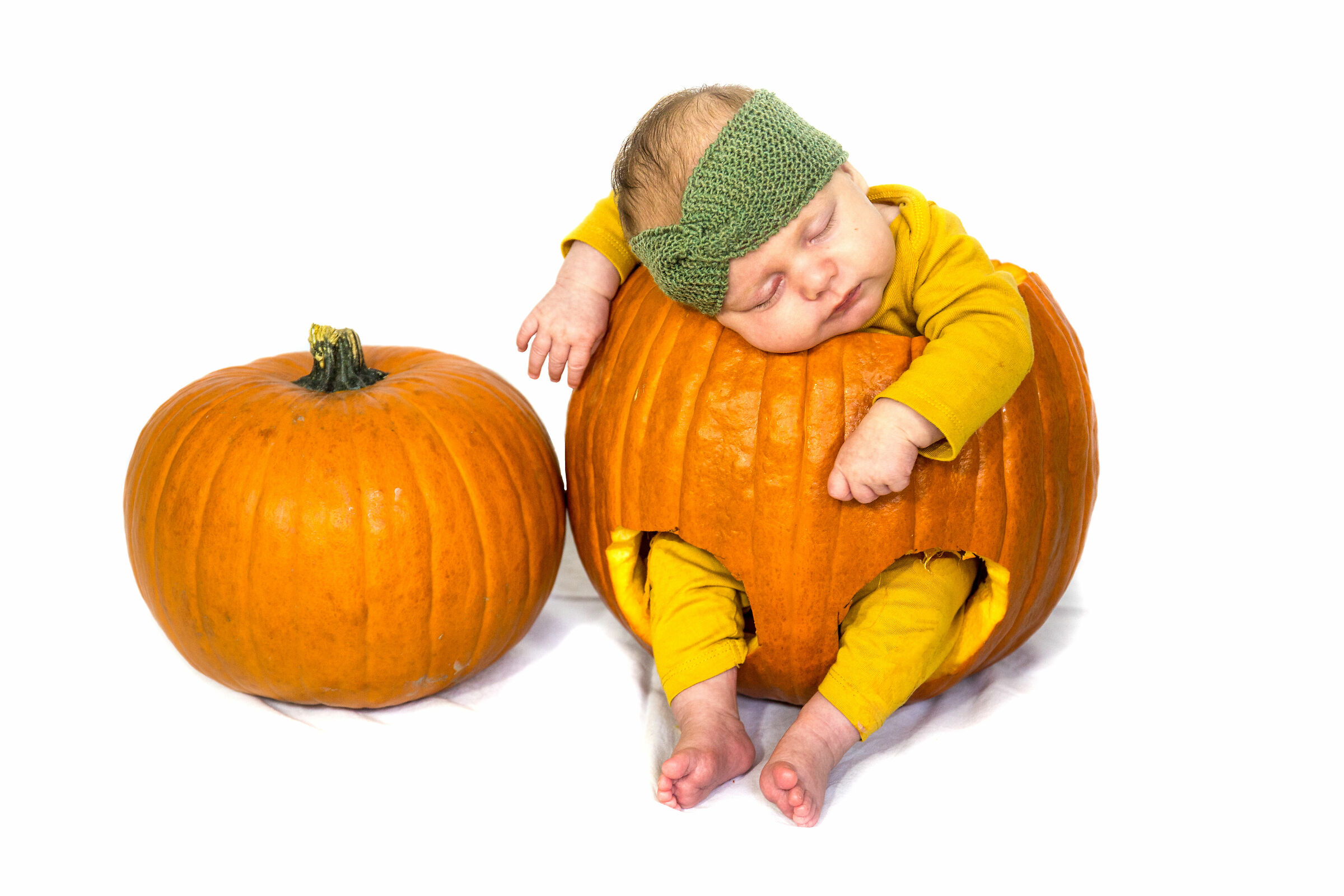 Arianna che dorme nella zucca