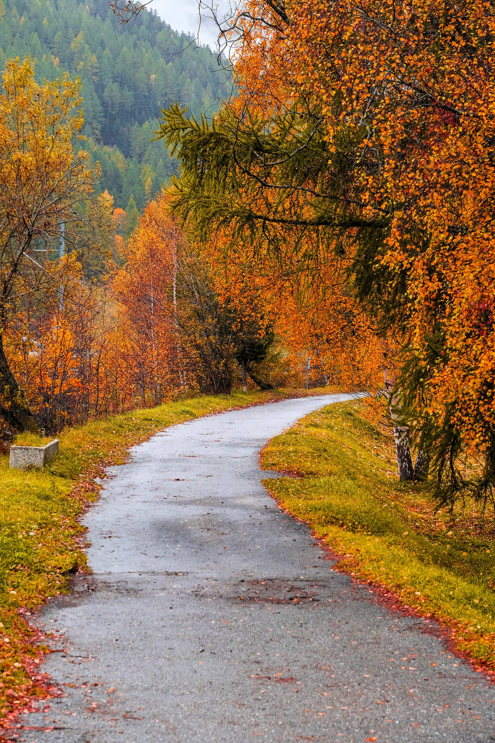 "The Shades of Autumn"