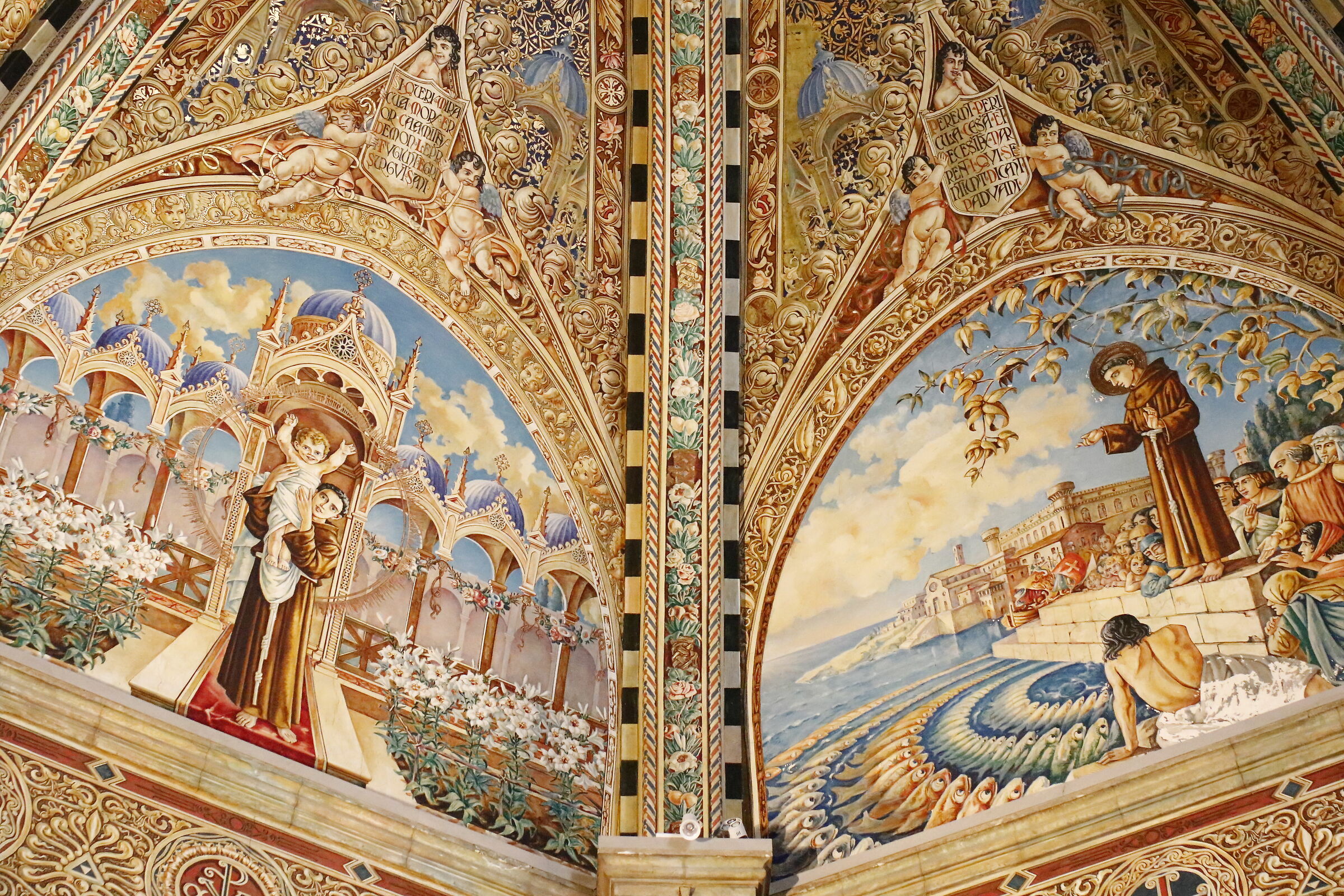 " ISO 12 Mila 800 ", Milvus Zeiss 50, 1.4- CANON 7 D II