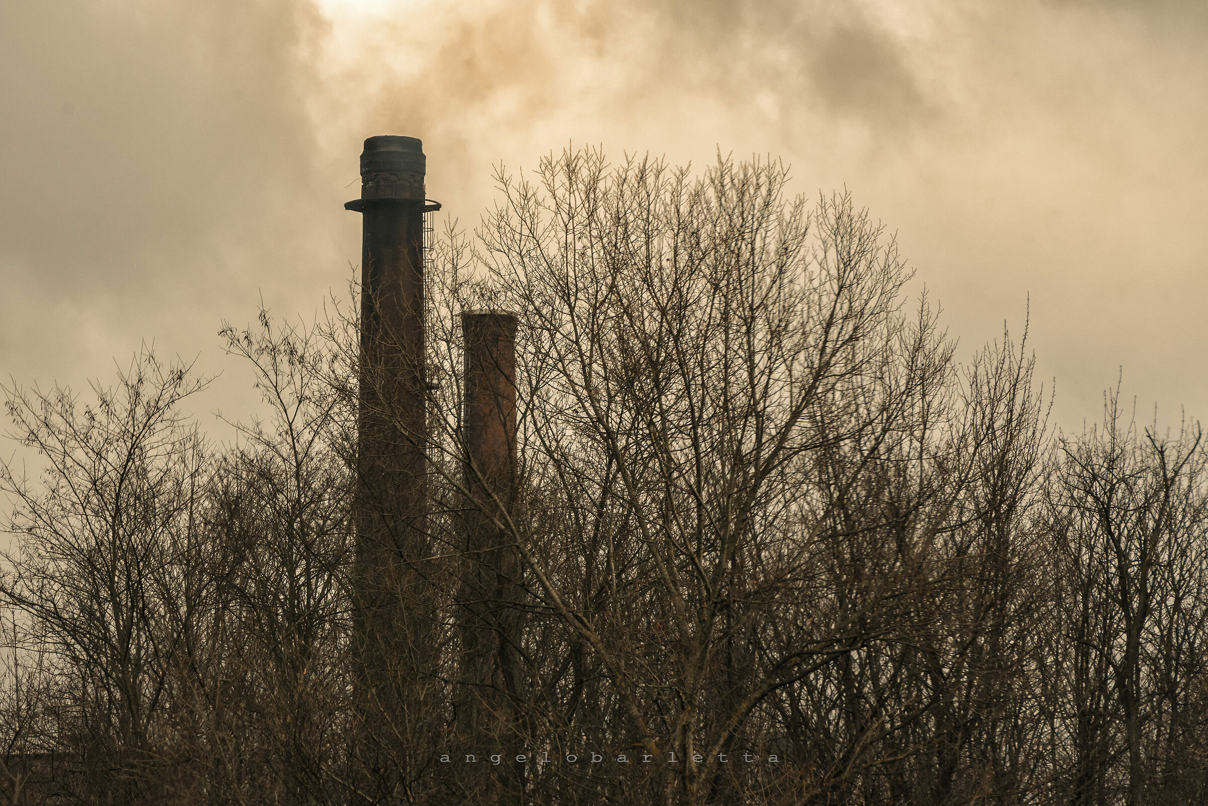 alberi e cokeria - Bragno (sv)