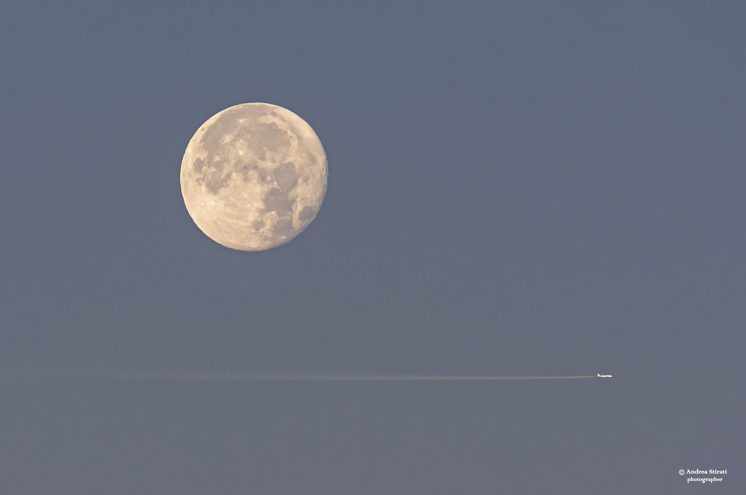 The Plane