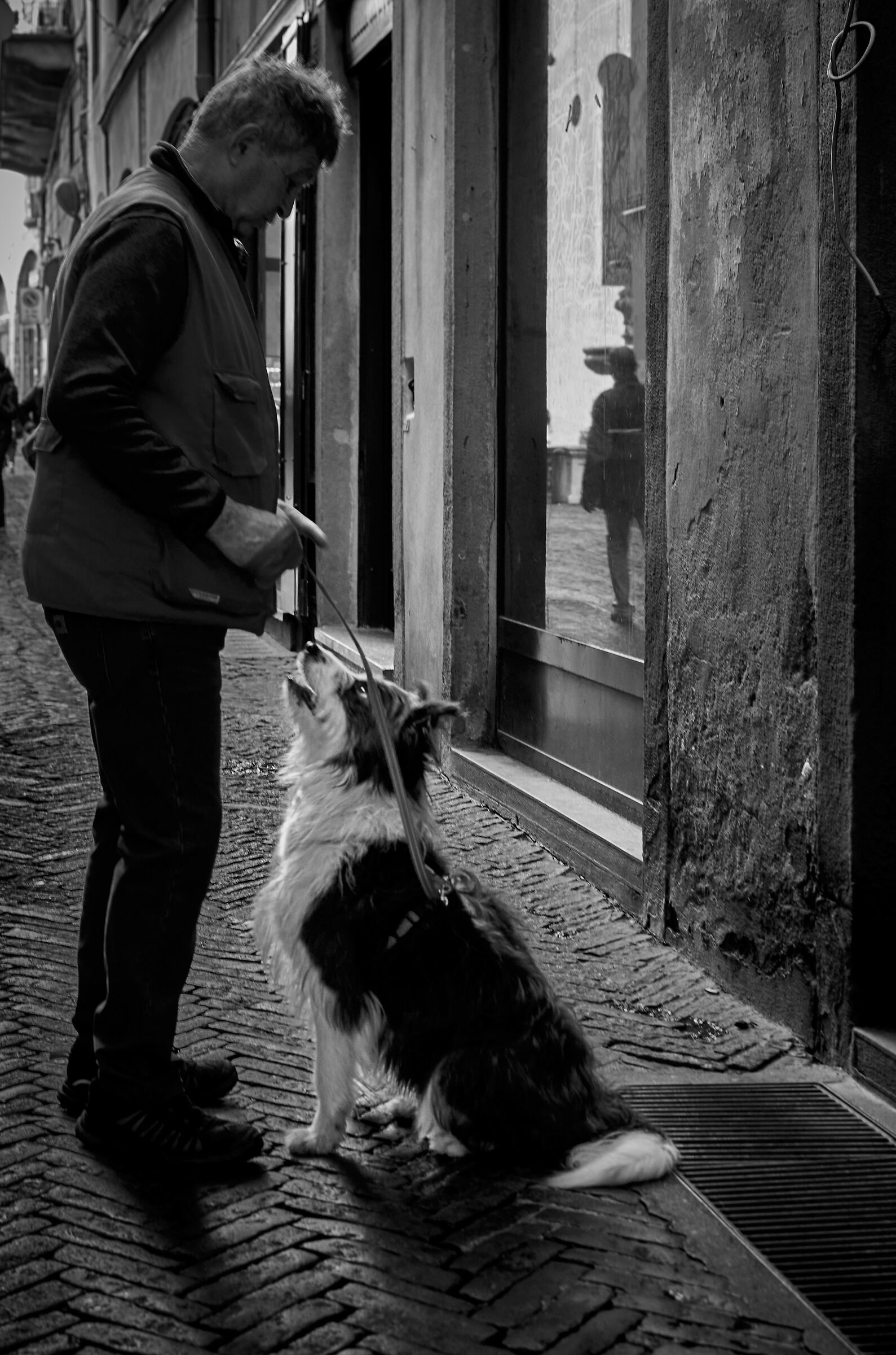 L'uomo e il cane
