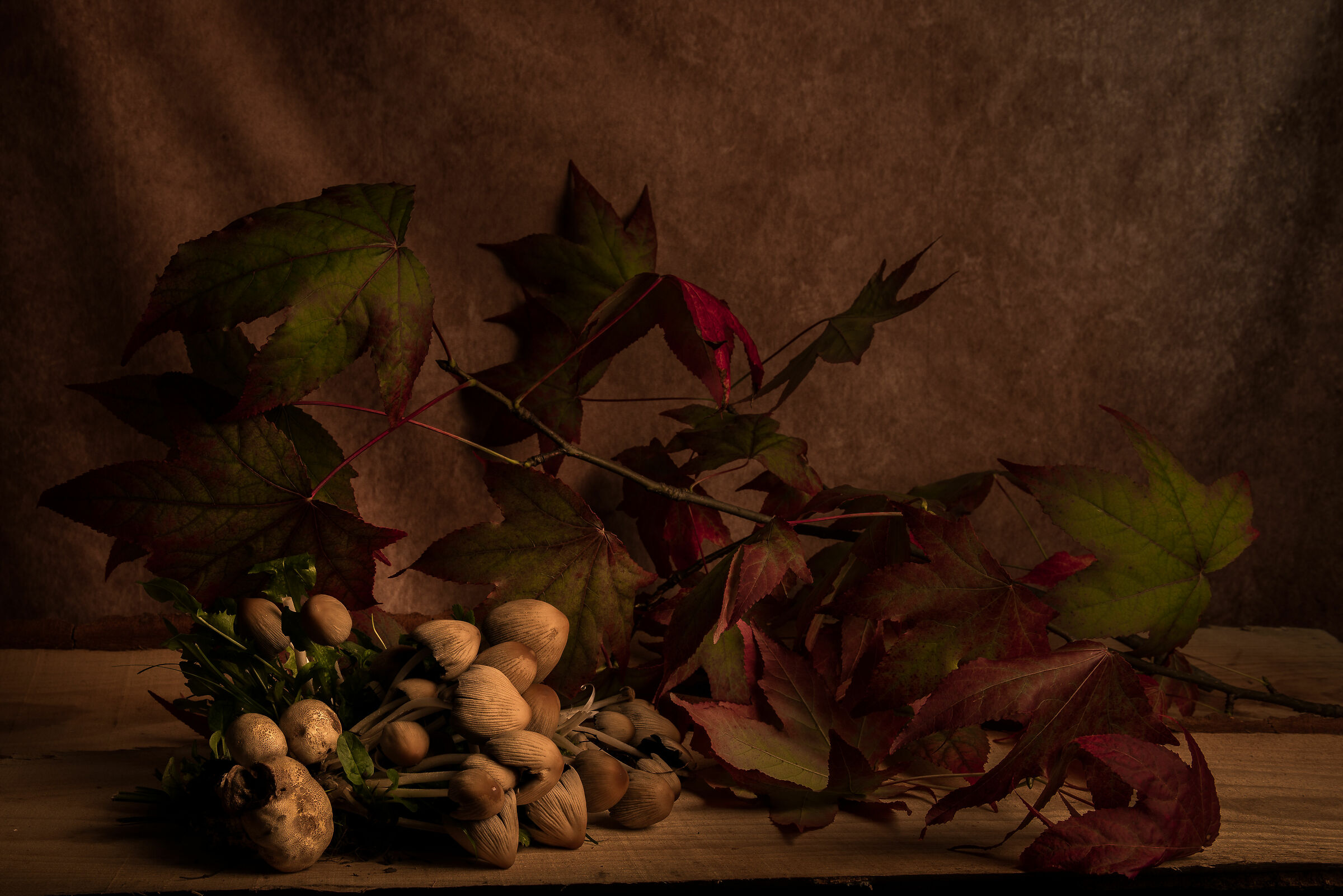 Nel mio giardino l'autunno è differente!