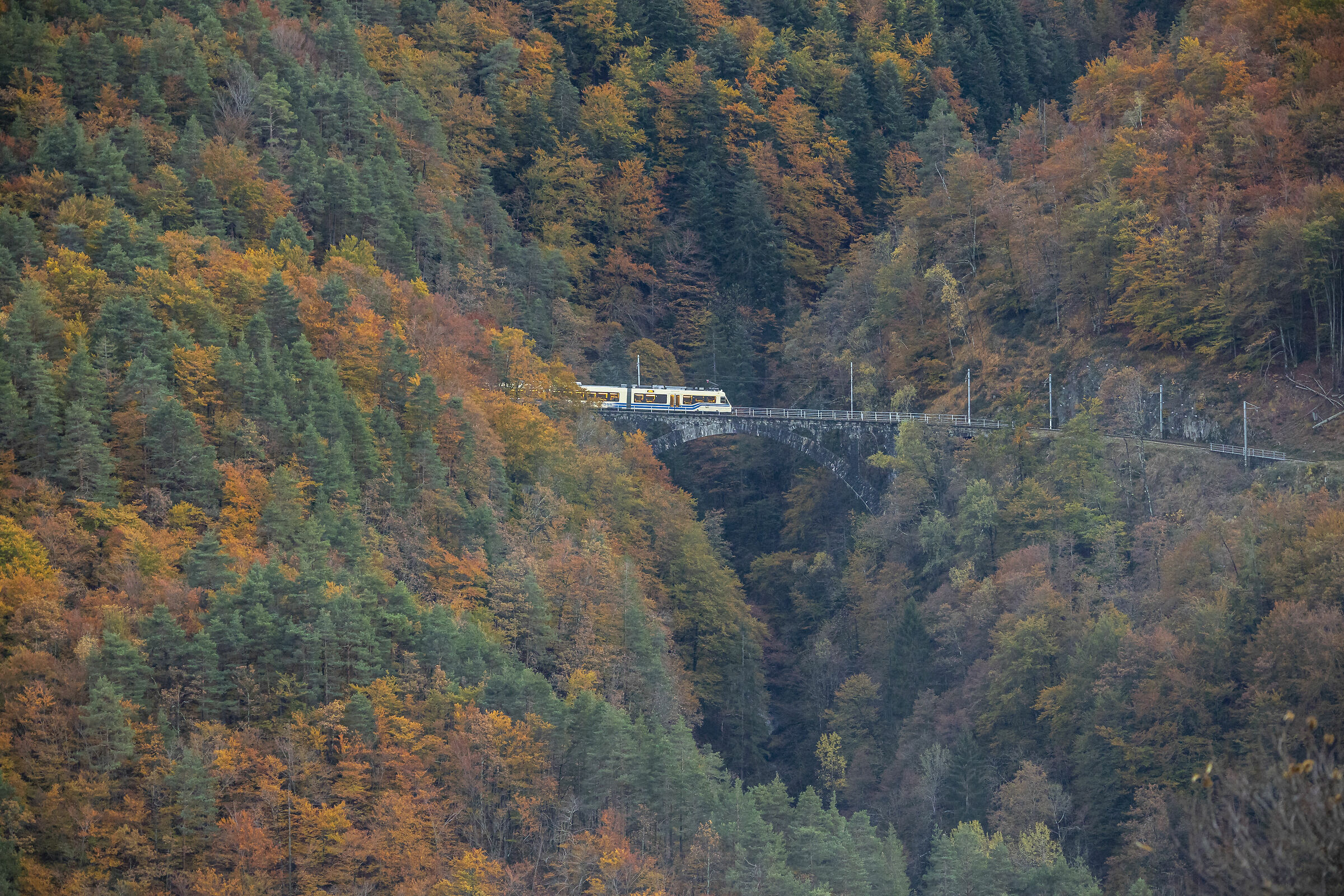 Il treno del foliage (vb)