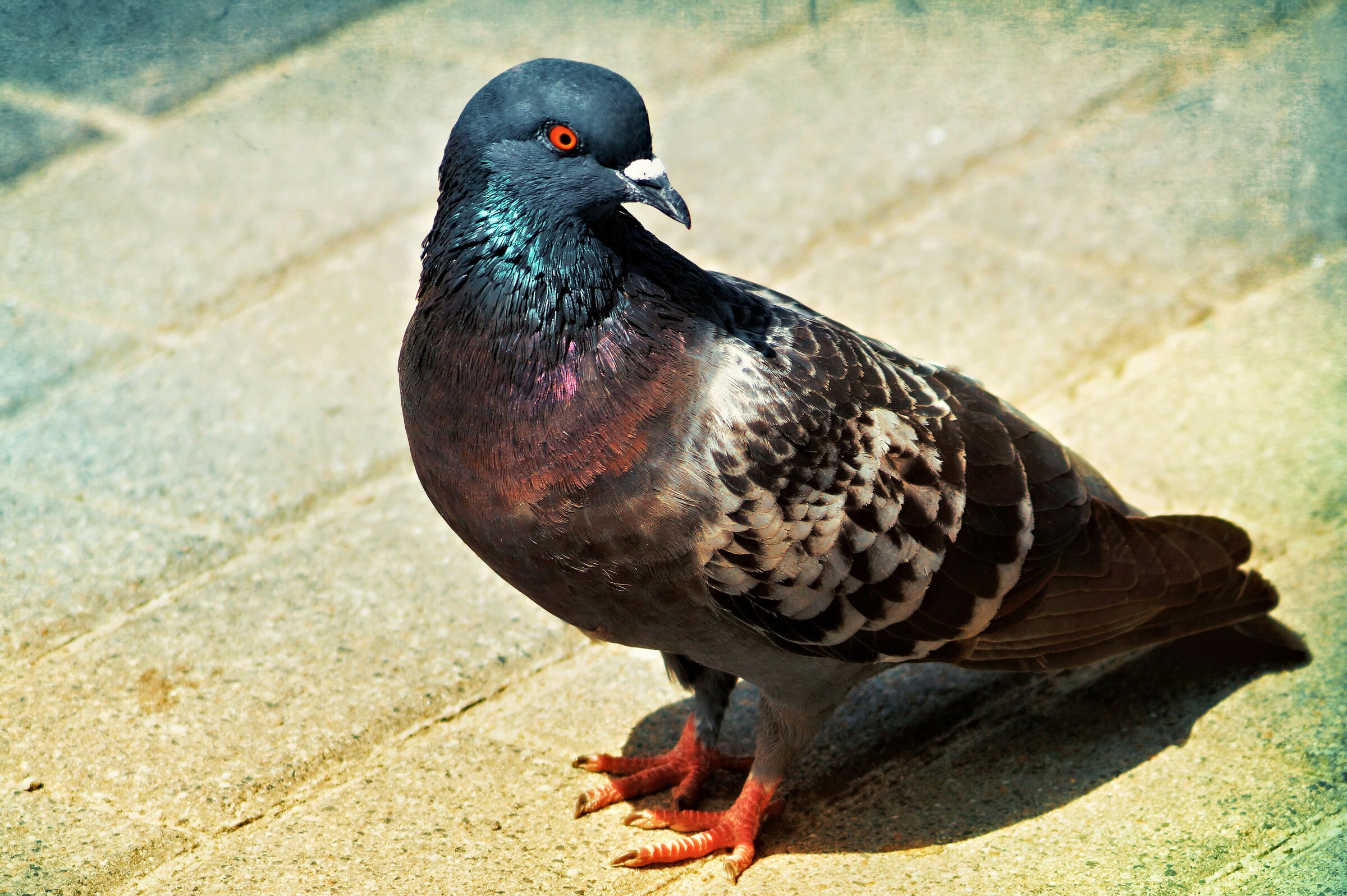 Warszawski, questo profilo ok?