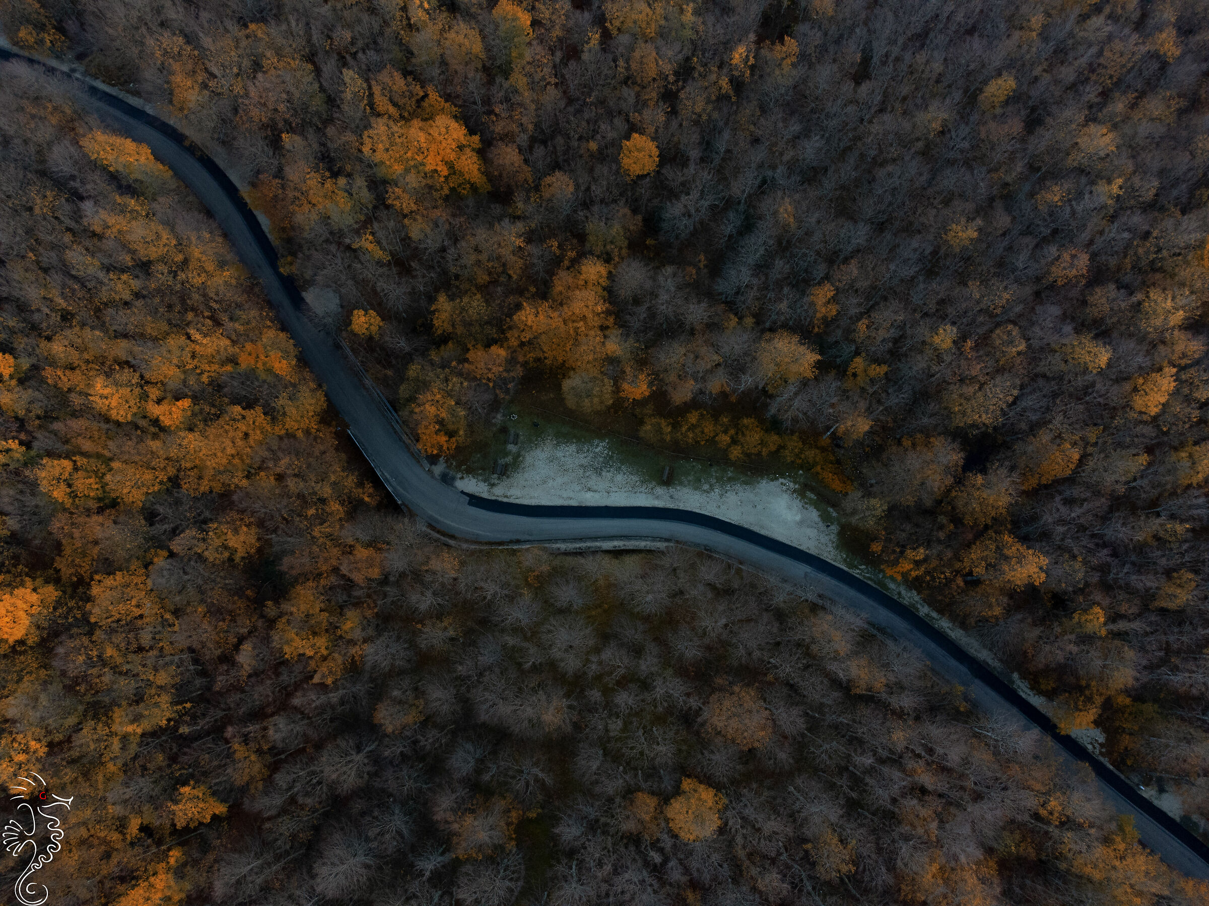 The colours of autumn