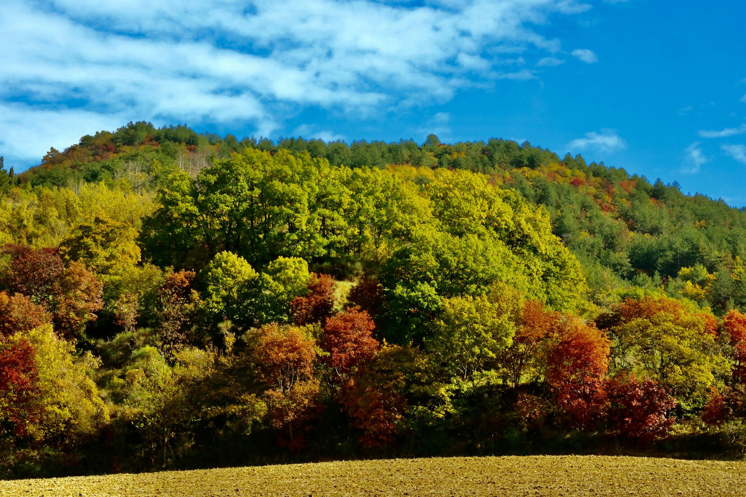 L'autunno in tutto il suo splendore.