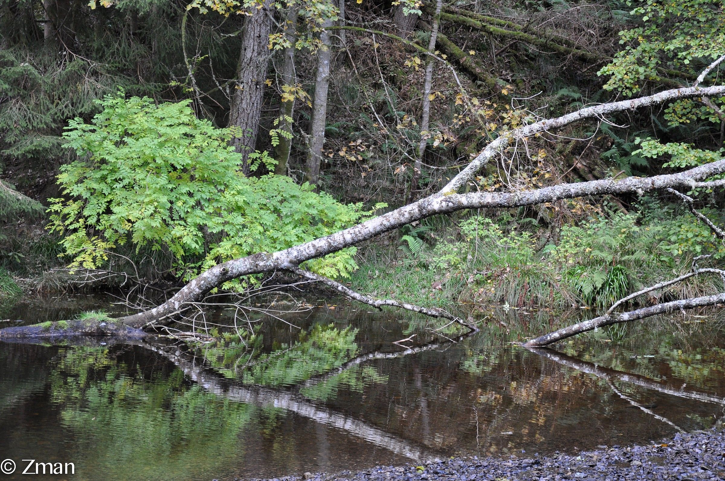 The Storm was Very Strong