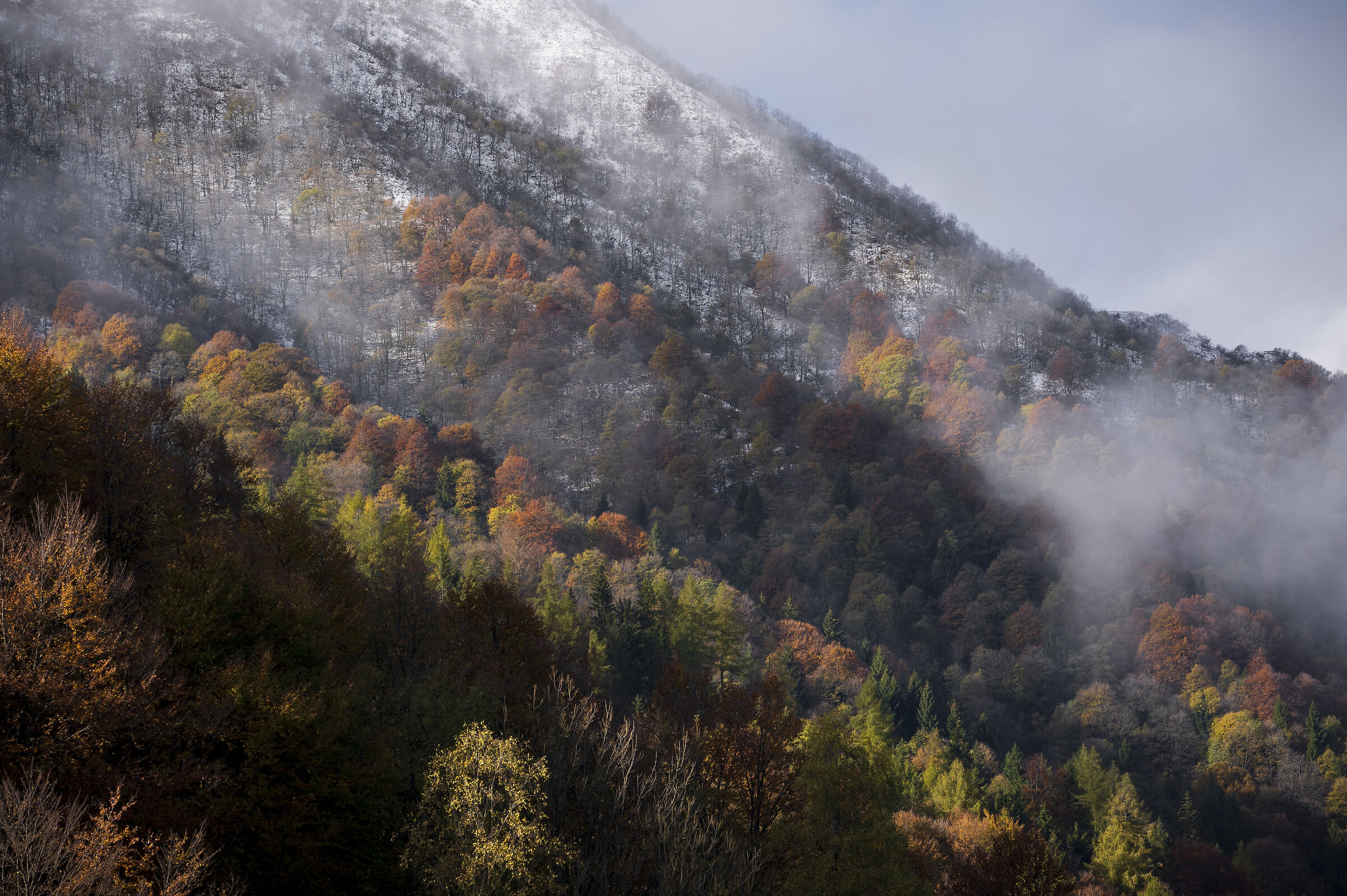 Nebbia e colori