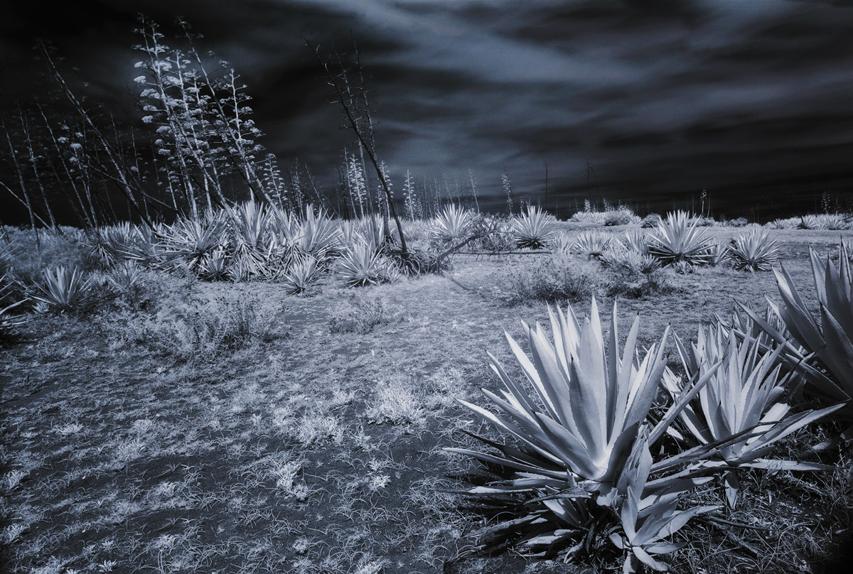 cabo de gata - nijar