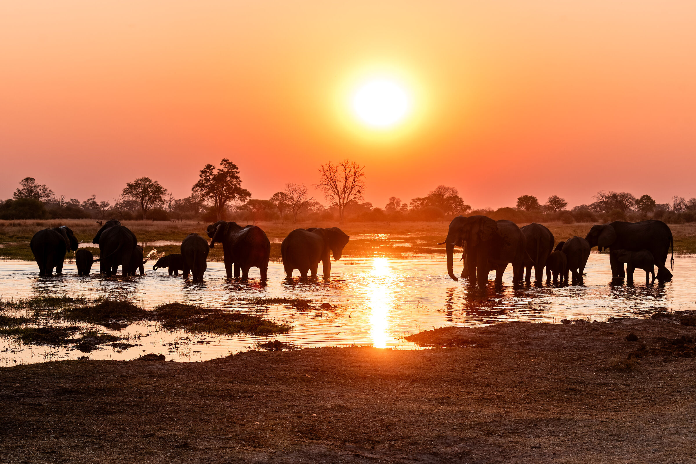 African Sunset