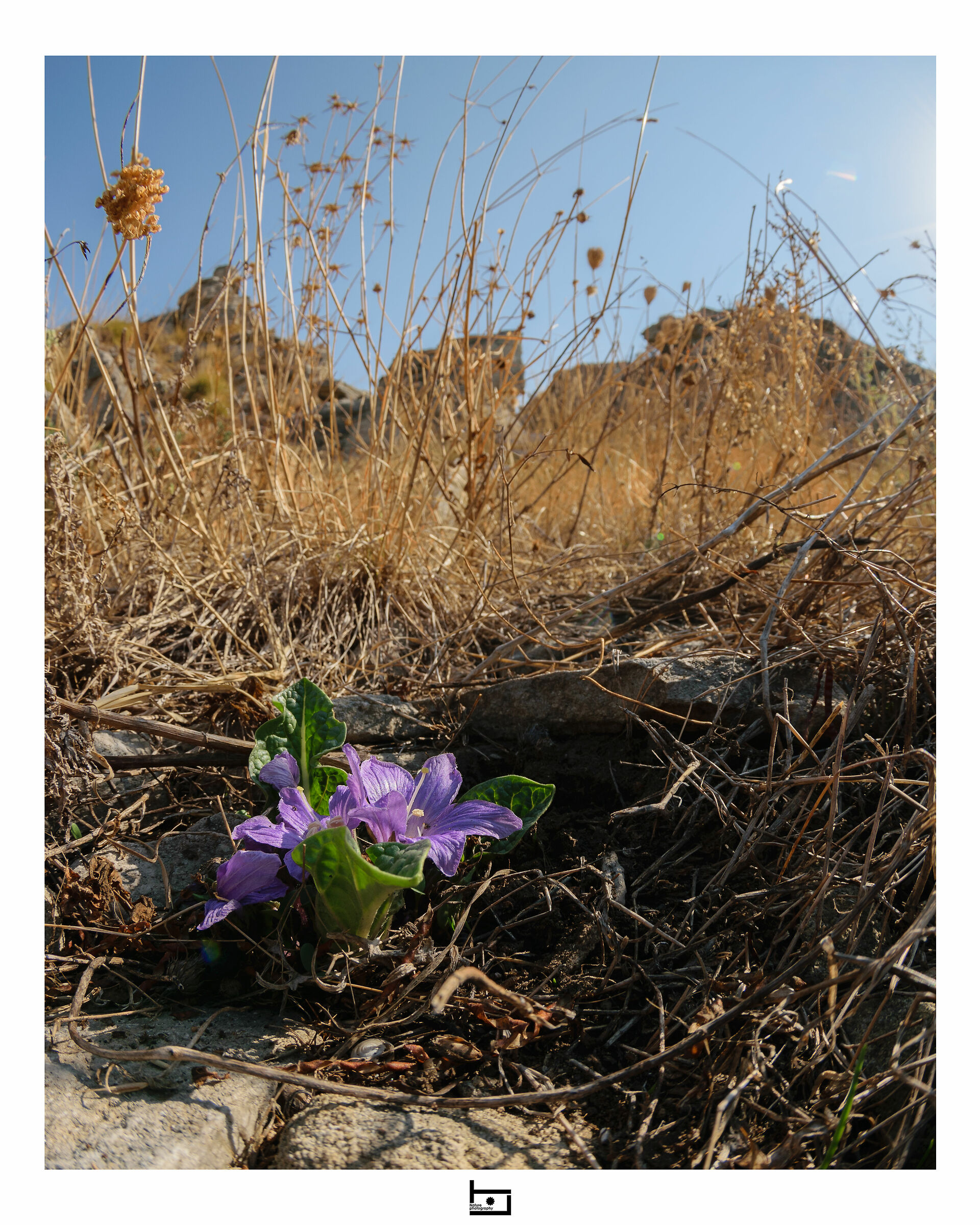 The unexpected presence