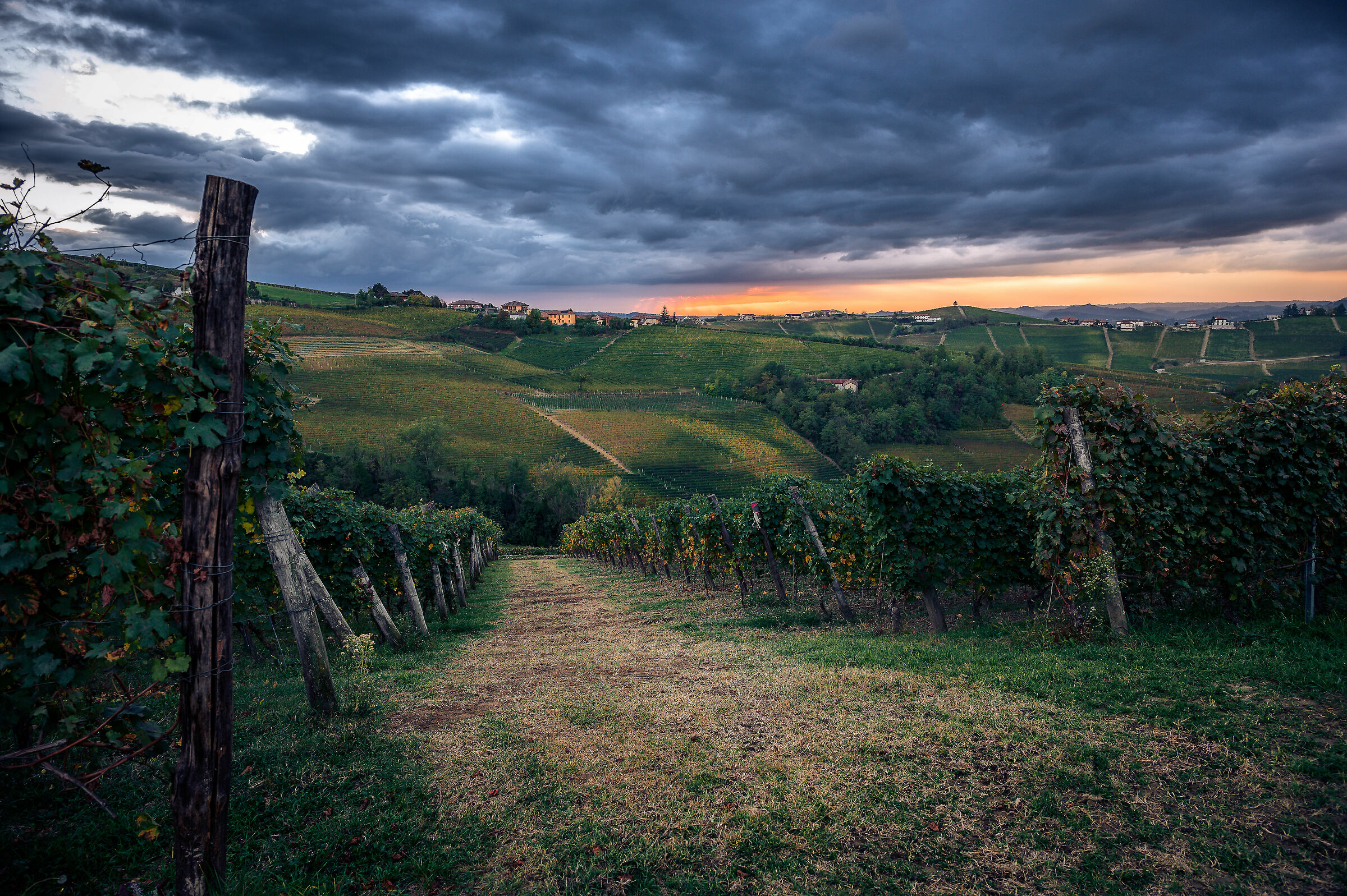 I vigneti del Barbaresco