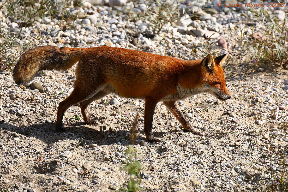 With the sun in your eyes