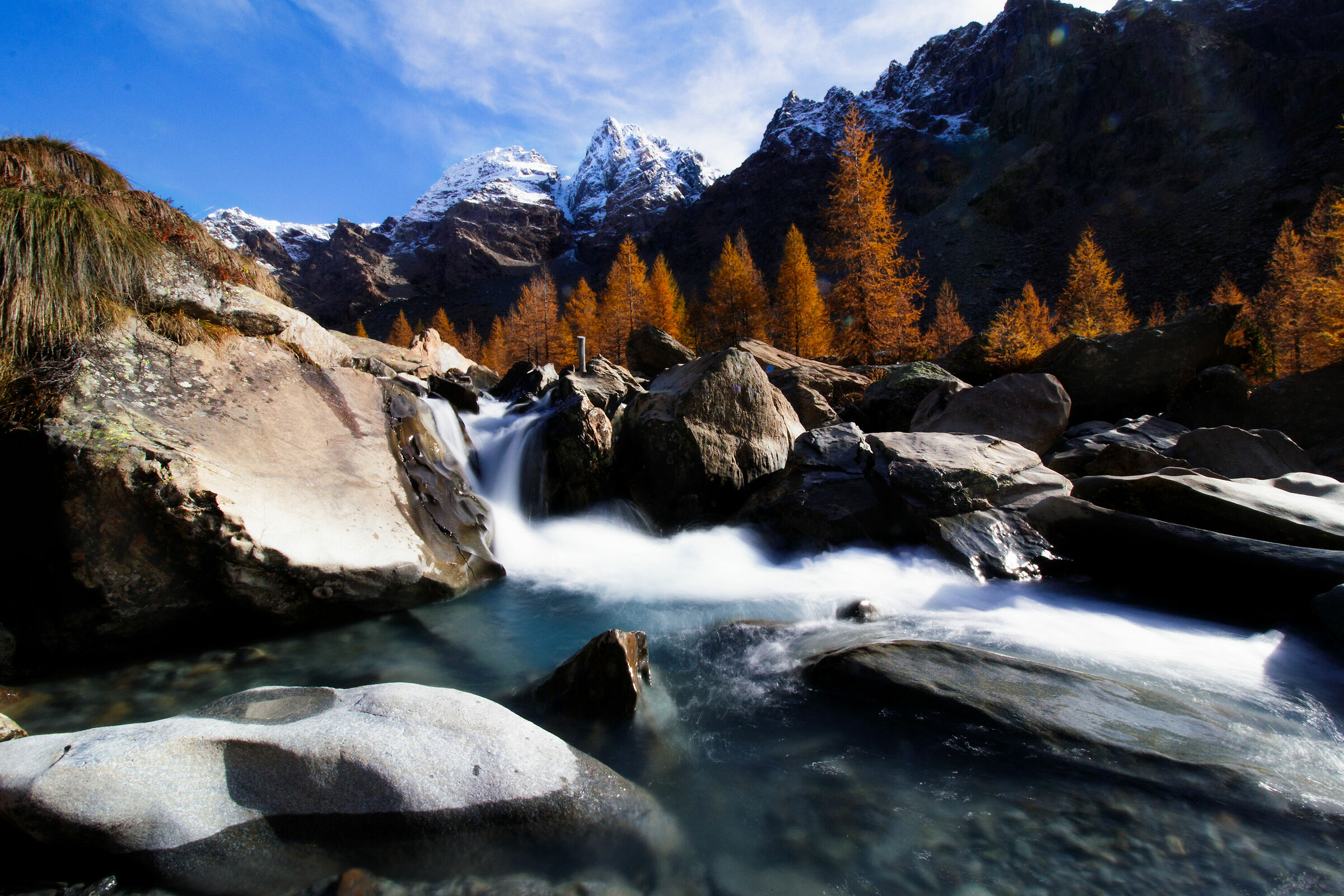 Qui parlano i colori ...