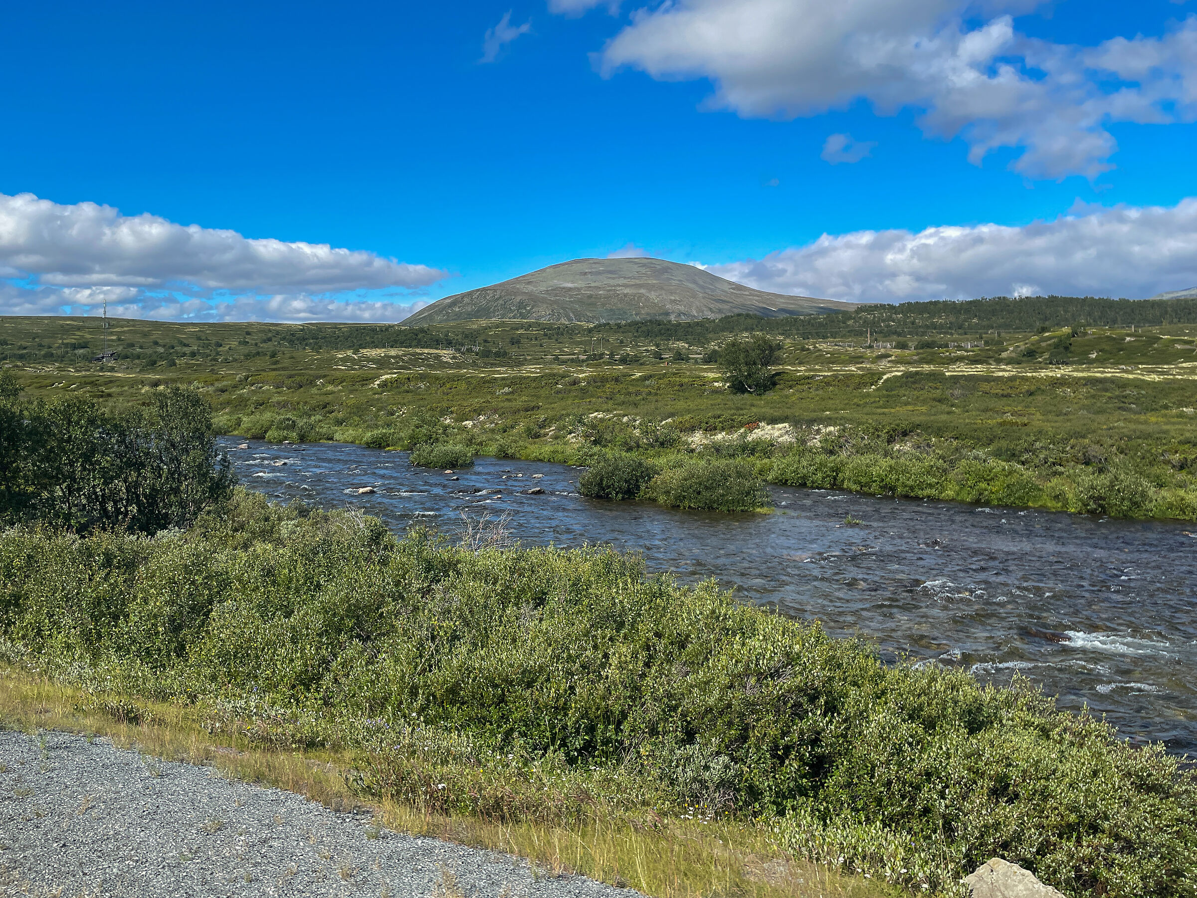to the Dovrefjell