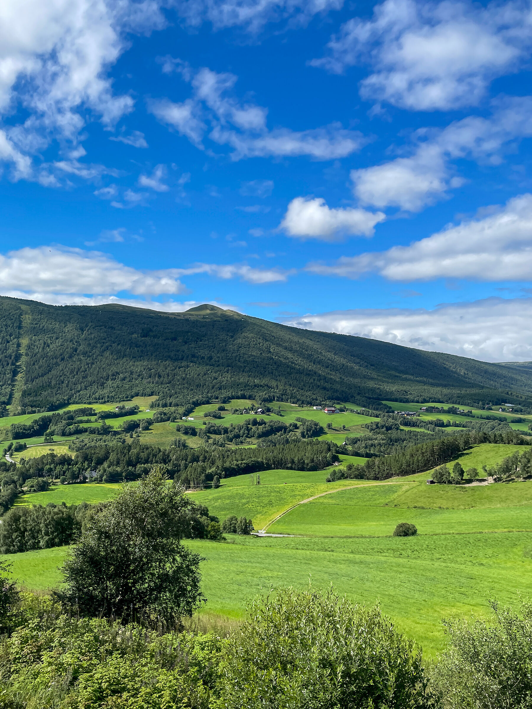 Svizzera o Norvegia?