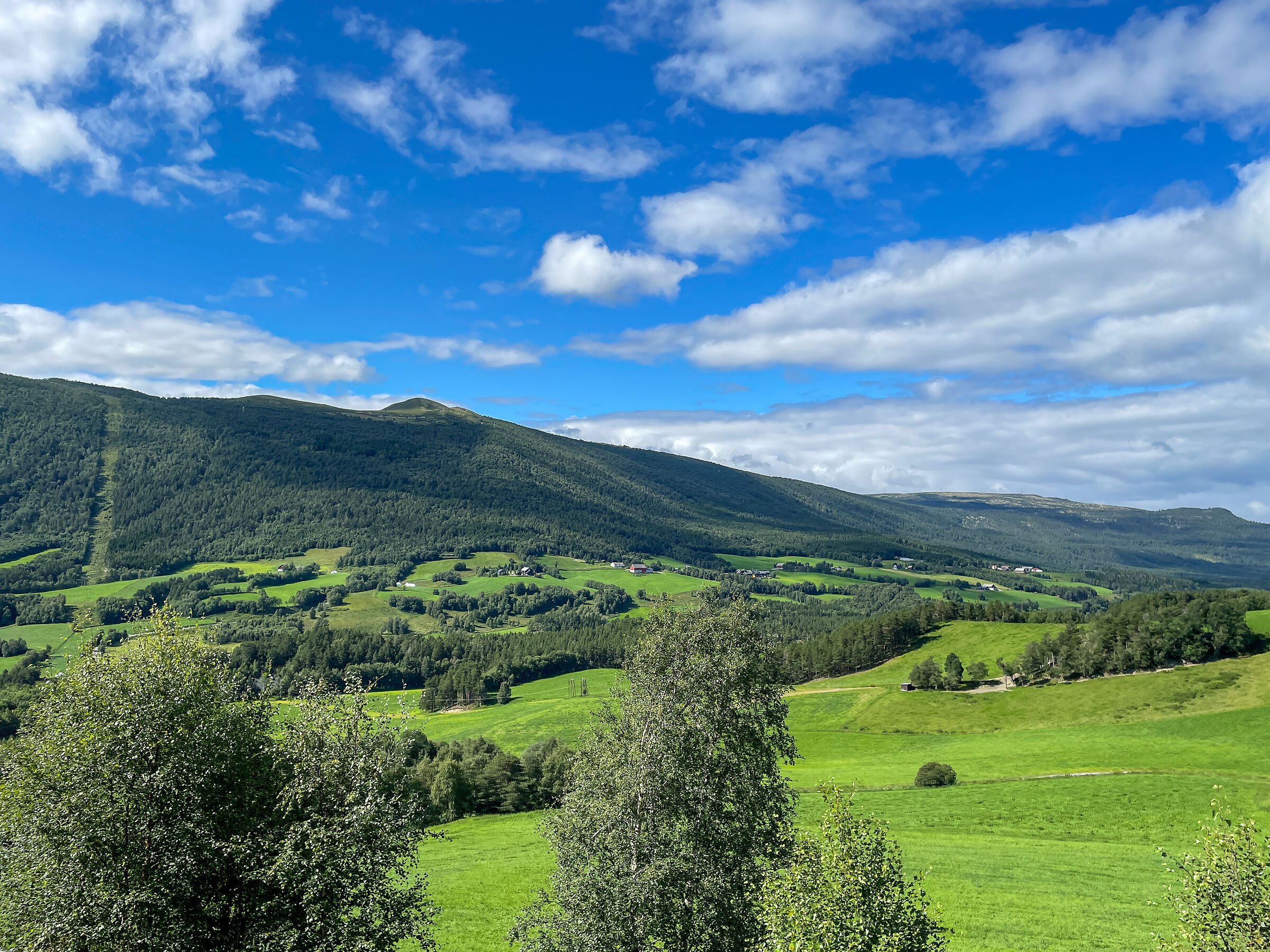 Svizzera o Norvegia?