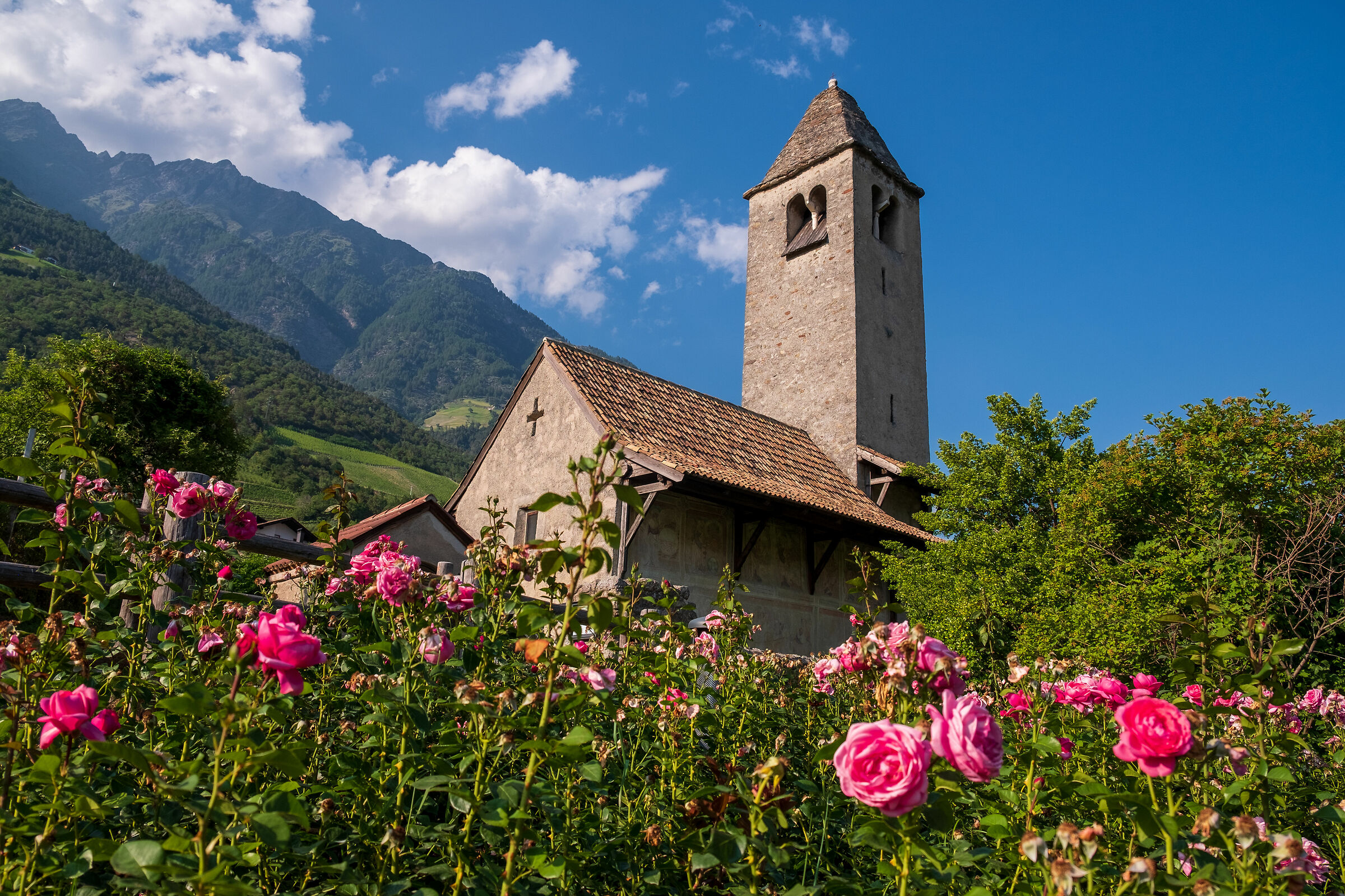 Primavera a San Procolo