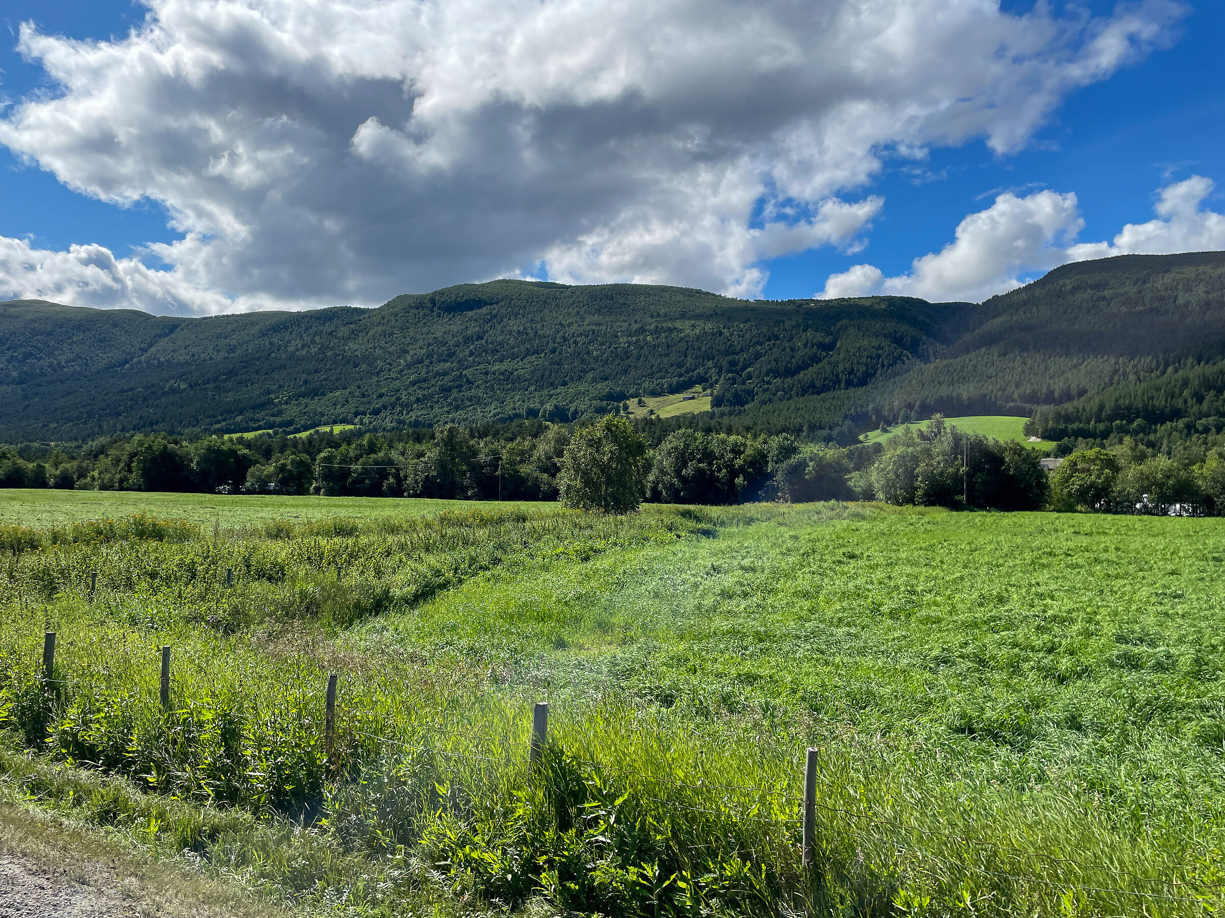 Svizzera o Norvegia?