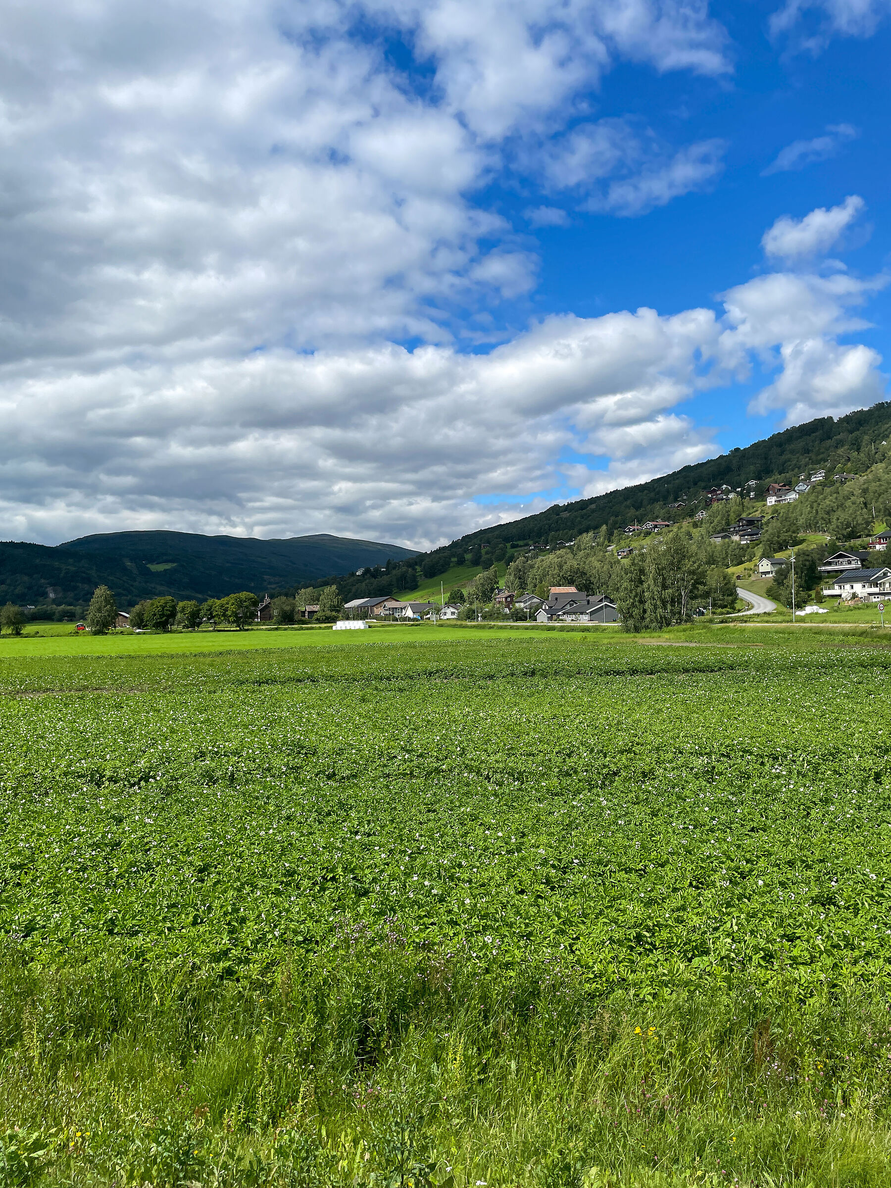 Svizzera o Norvegia?