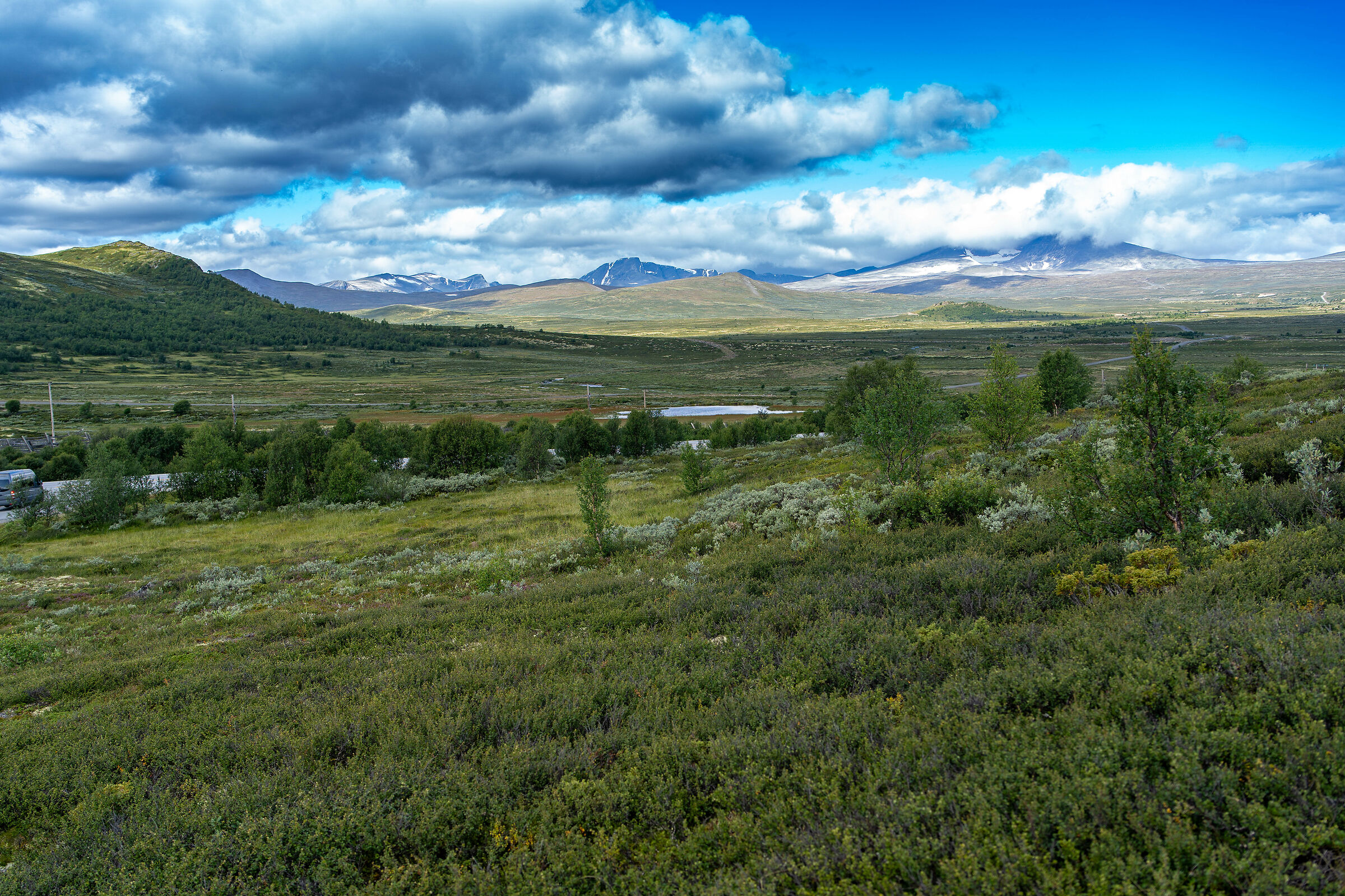 In the Dovrefjell