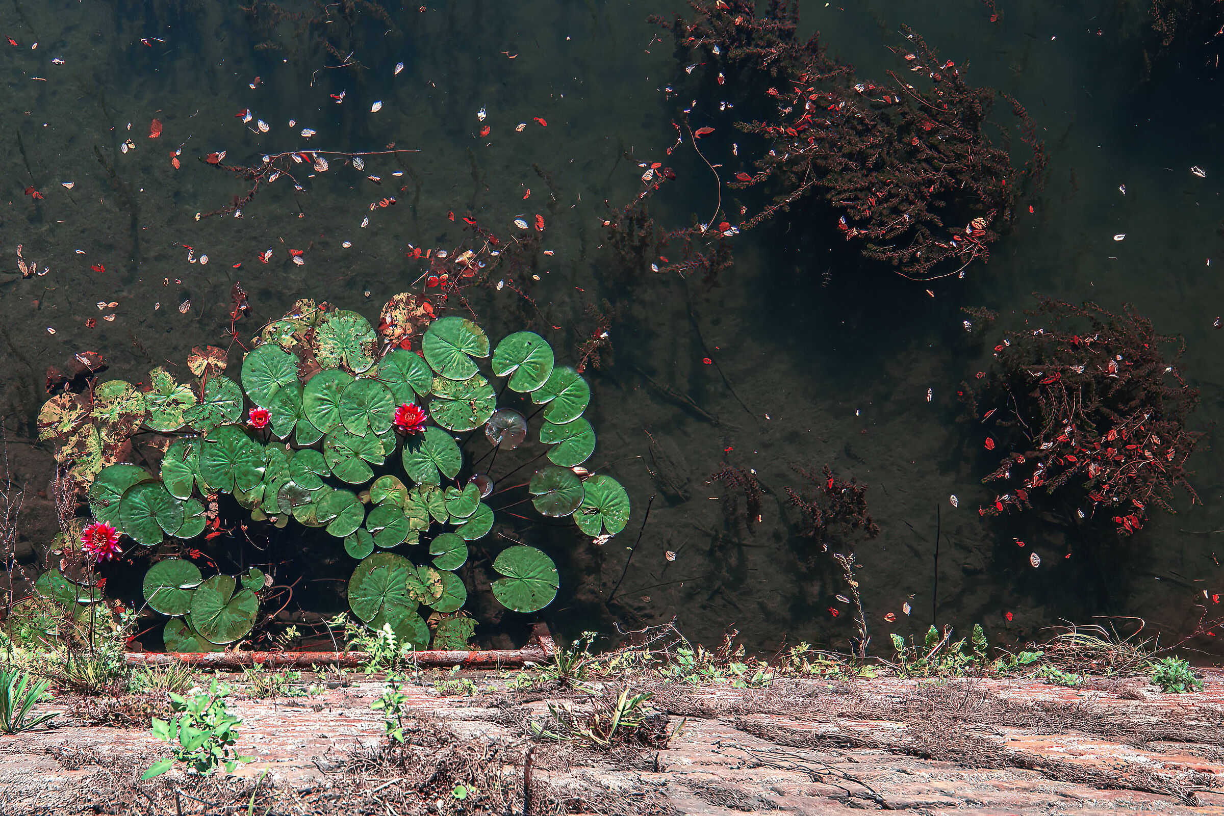 November 5 (A rarity)