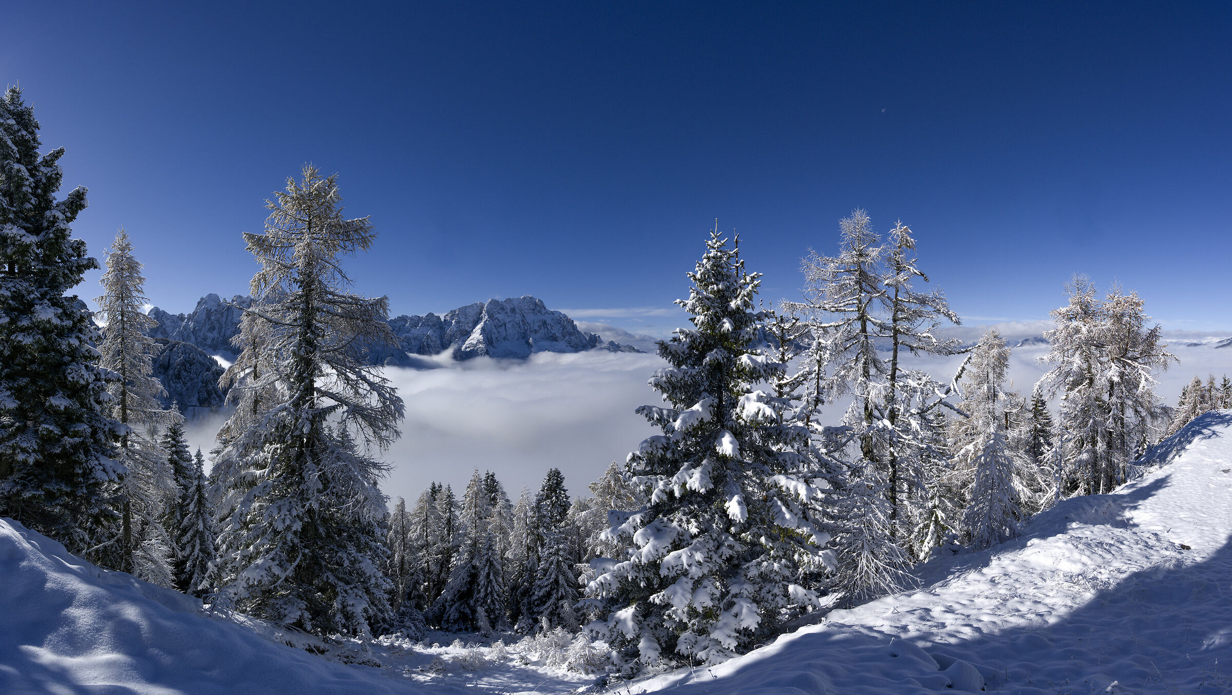 Siamo ancora in autunno