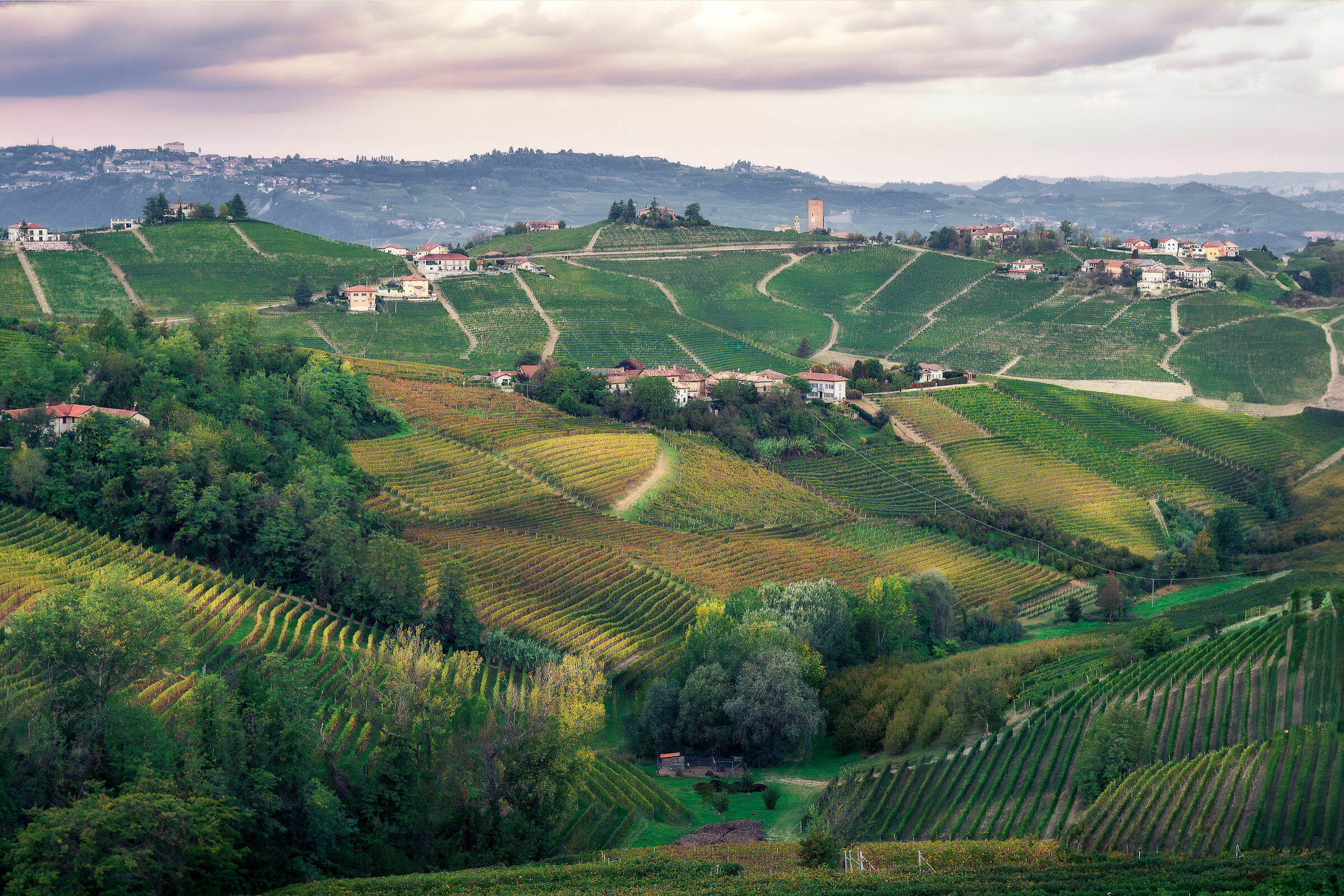 La torre di Barbaresco
