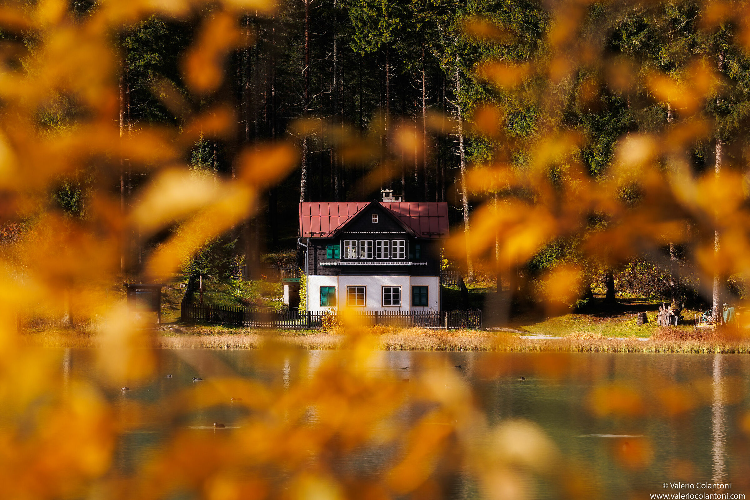 La casetta nel bosco...