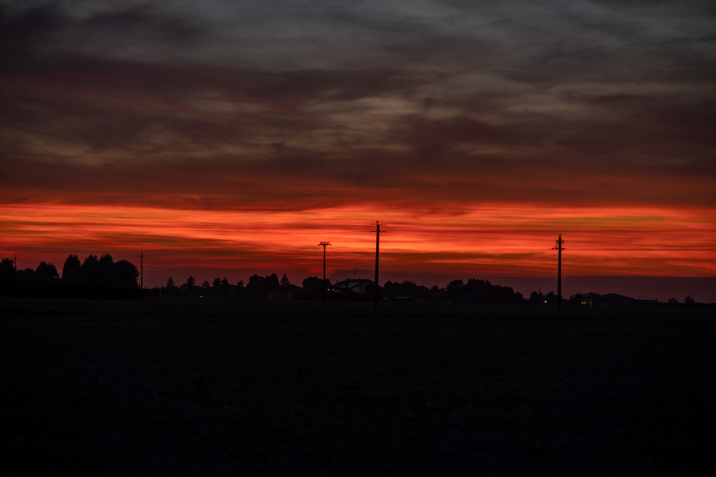 Untitled Photo