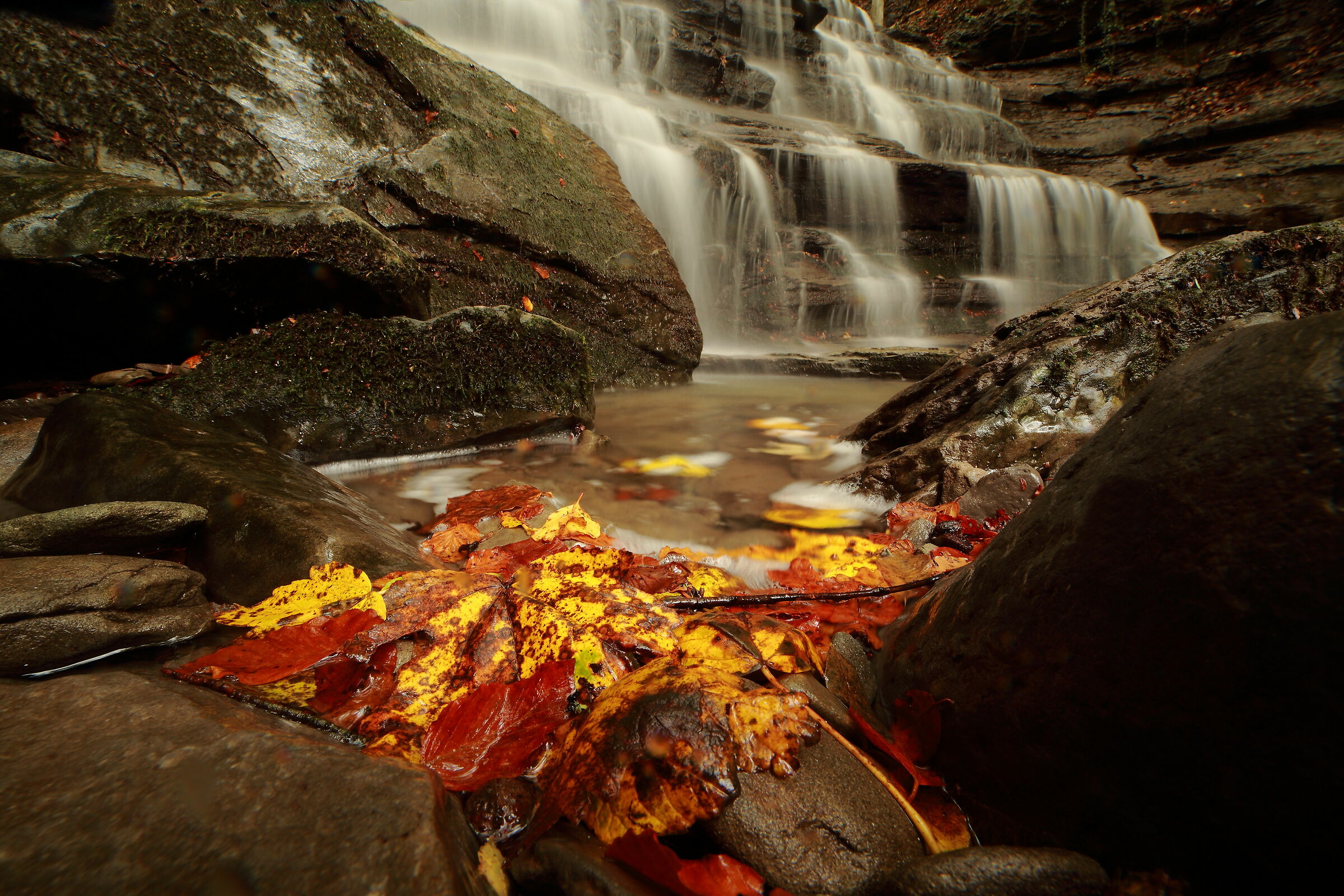 Improvvisate dighe autunnali