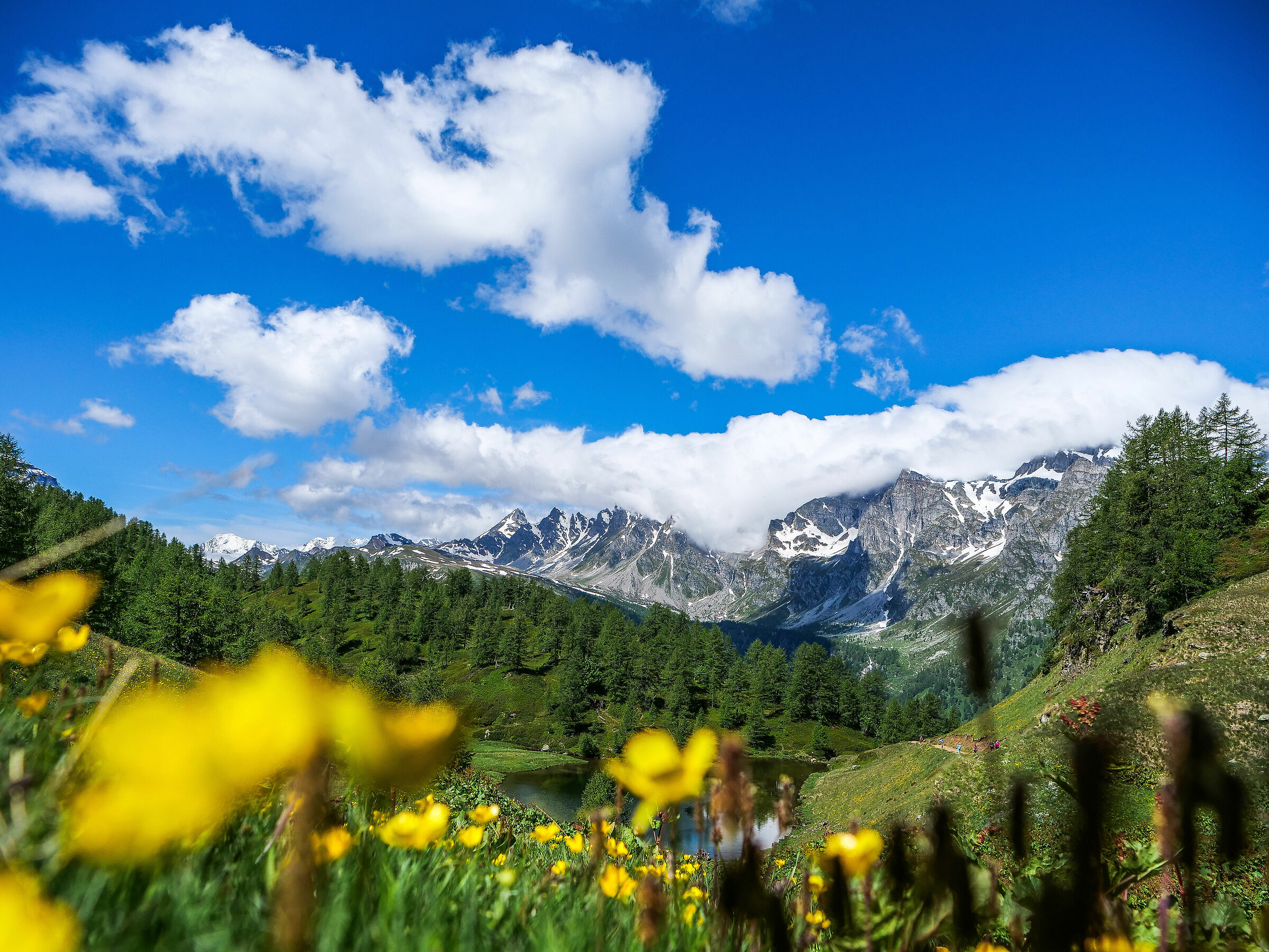 Sangiatto by the flowers