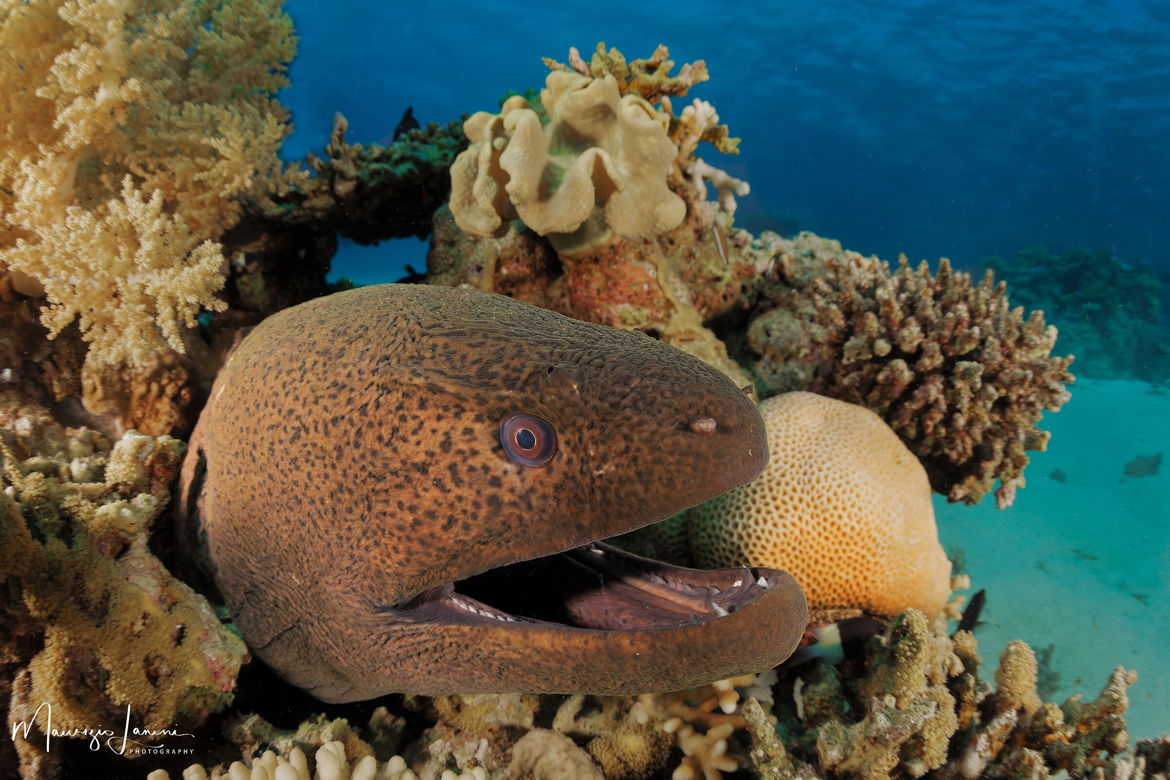 Sempre più vicino!!