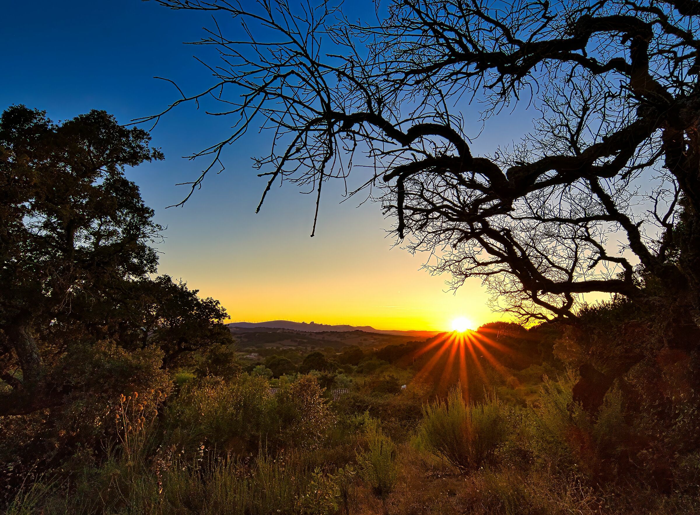 Tramonto