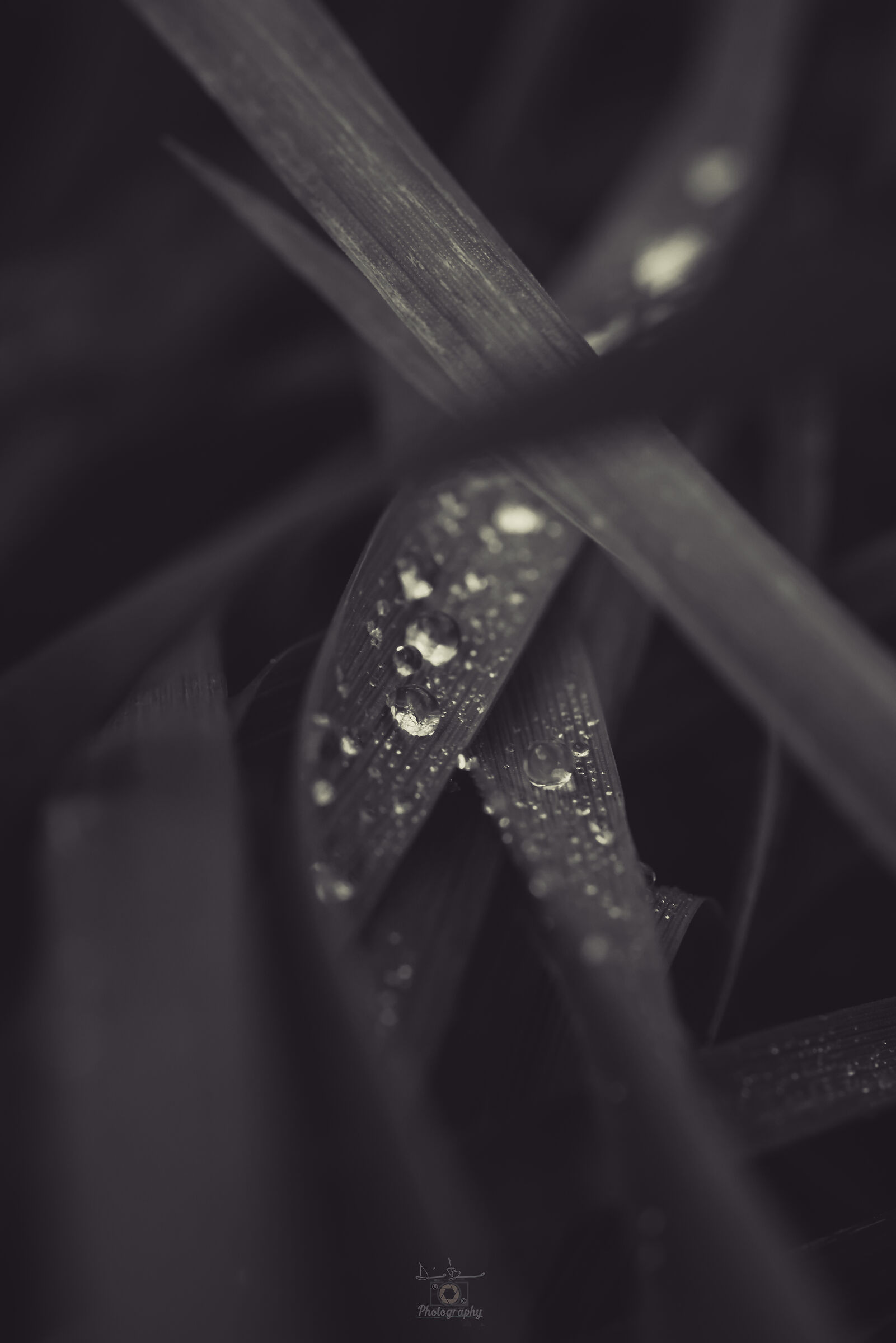 Il magico micromondo