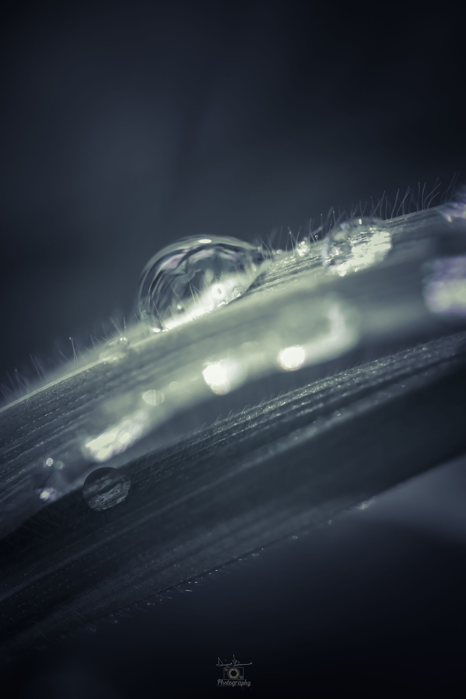 il magico micromondo