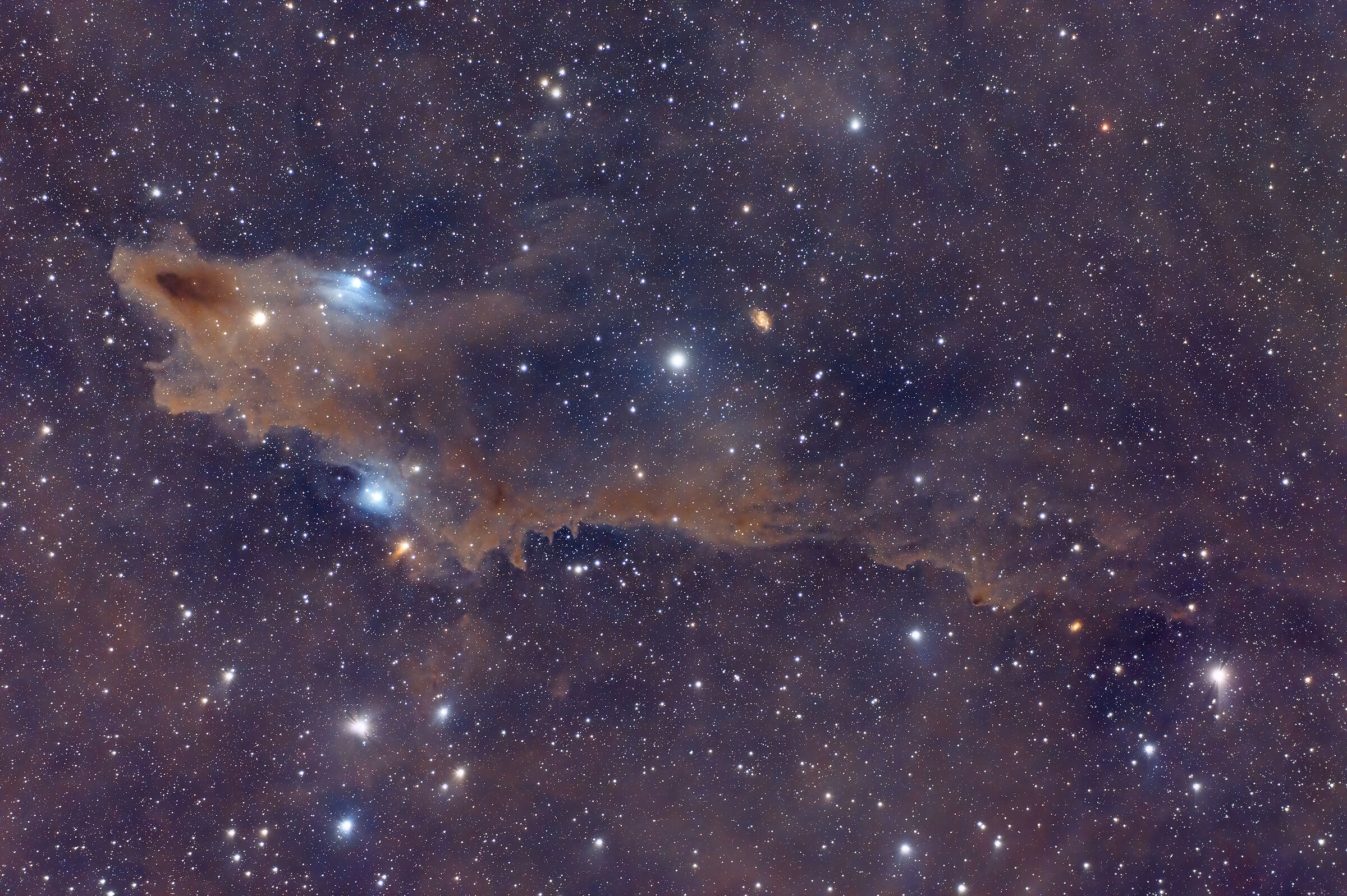 Shark Nebula (Redux)