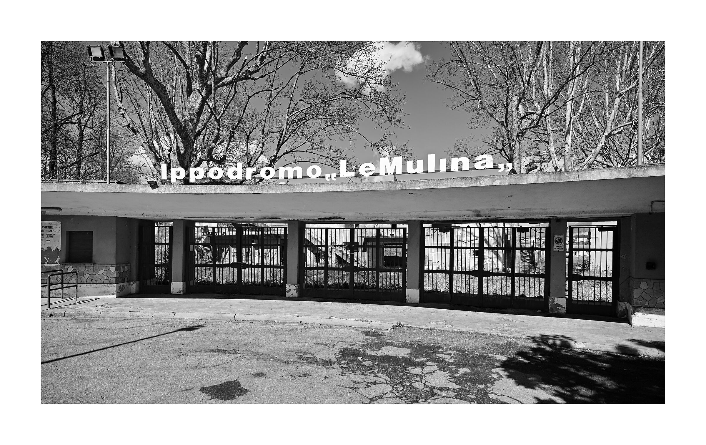 On horseback and off you go...