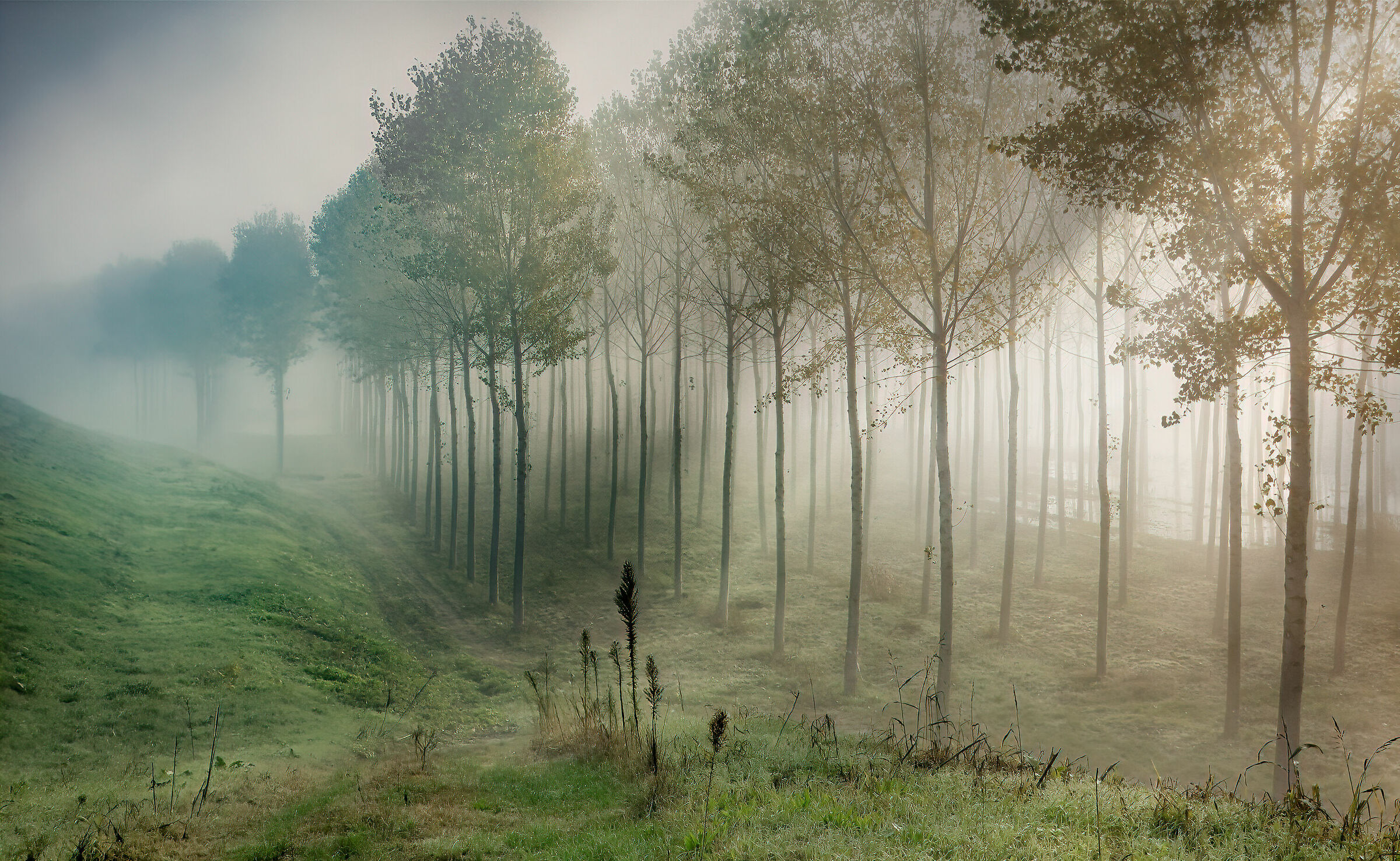Lights in the floodplain of the Po