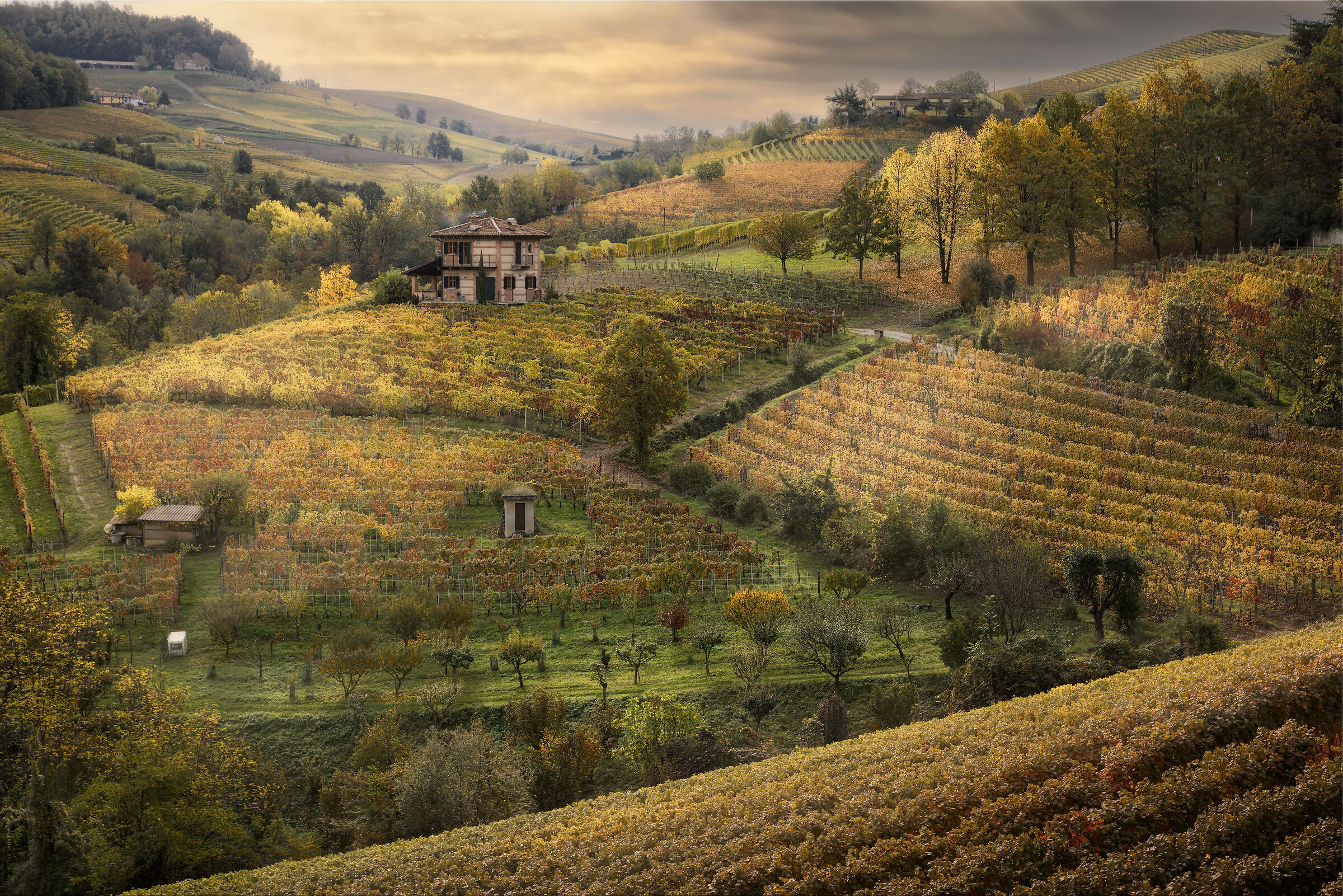Le Langhe d'autunno