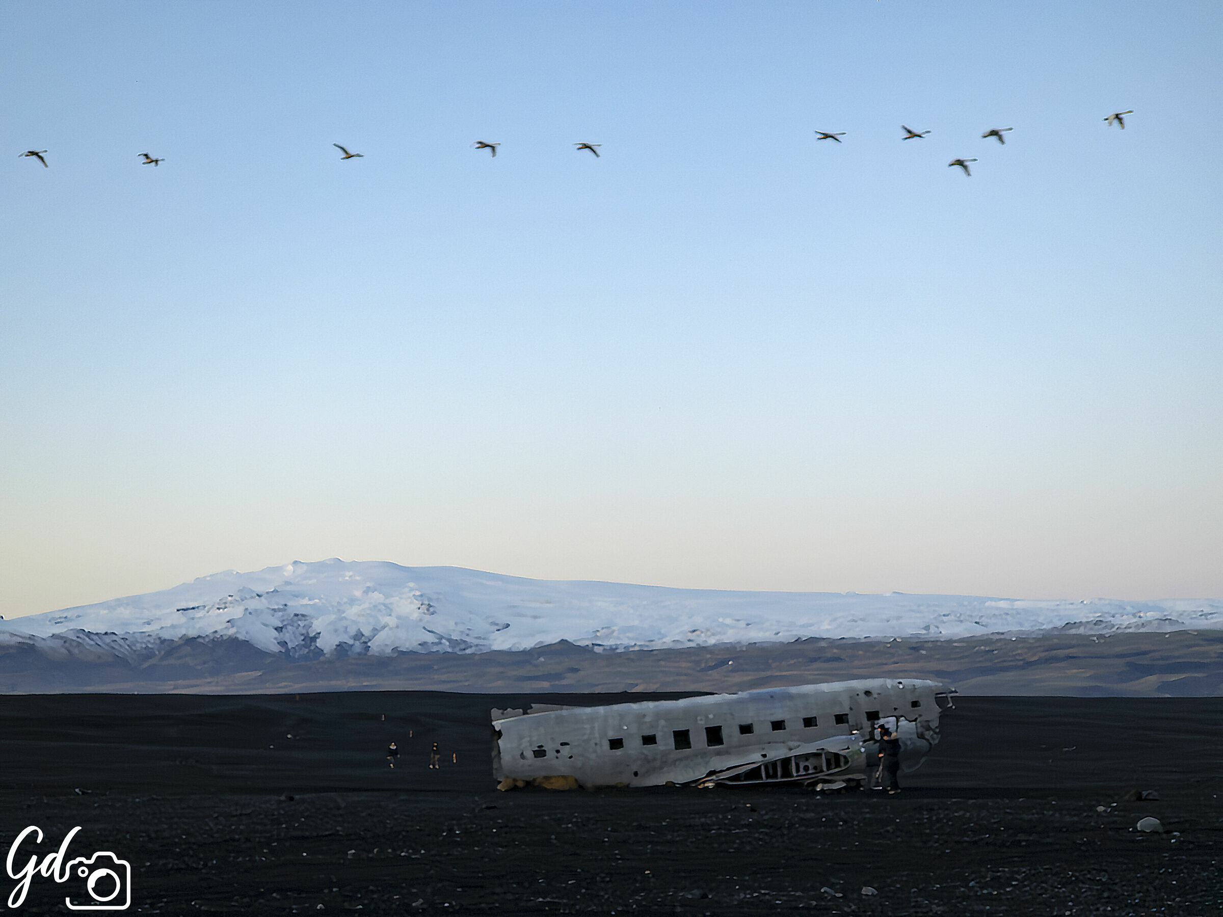 Icelandic Freedom