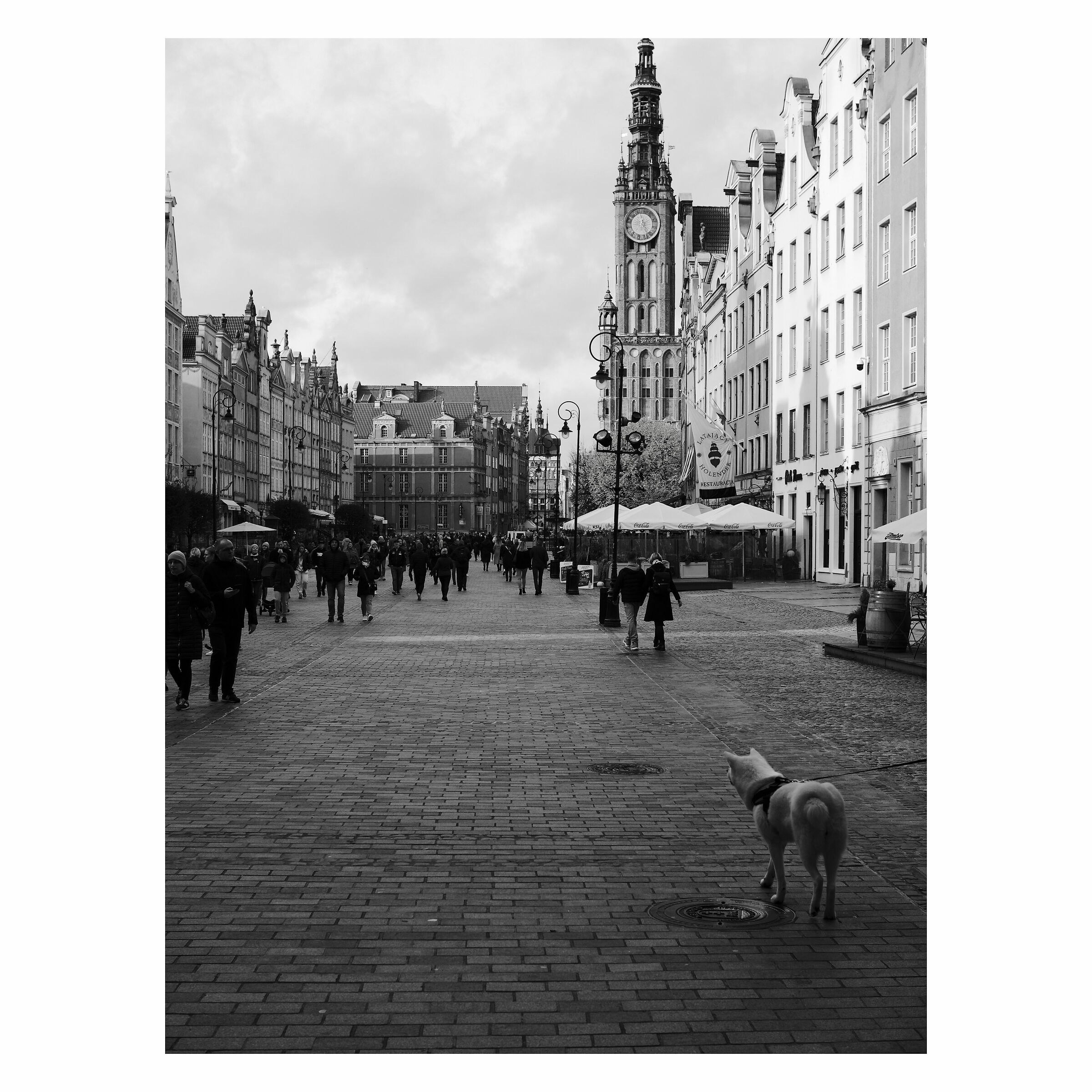 Street.