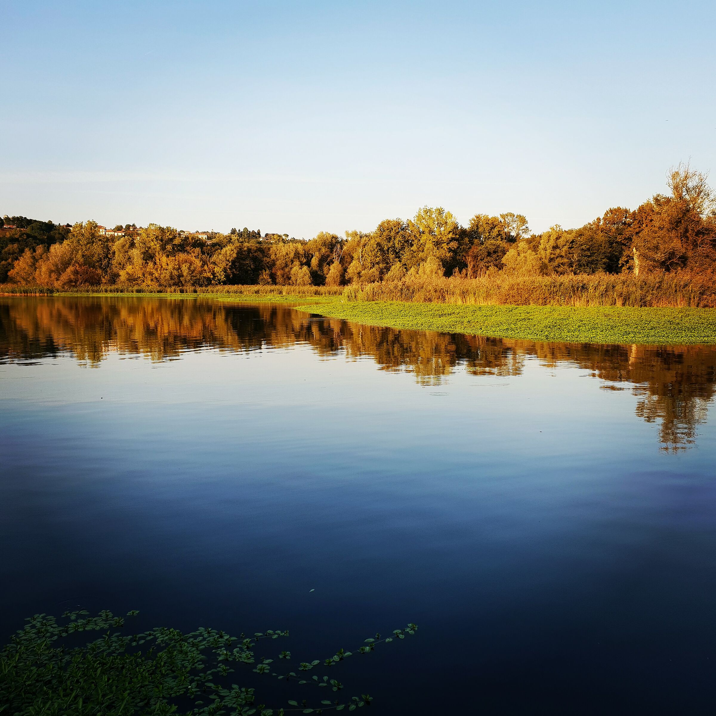 Lago di Varese Azzate