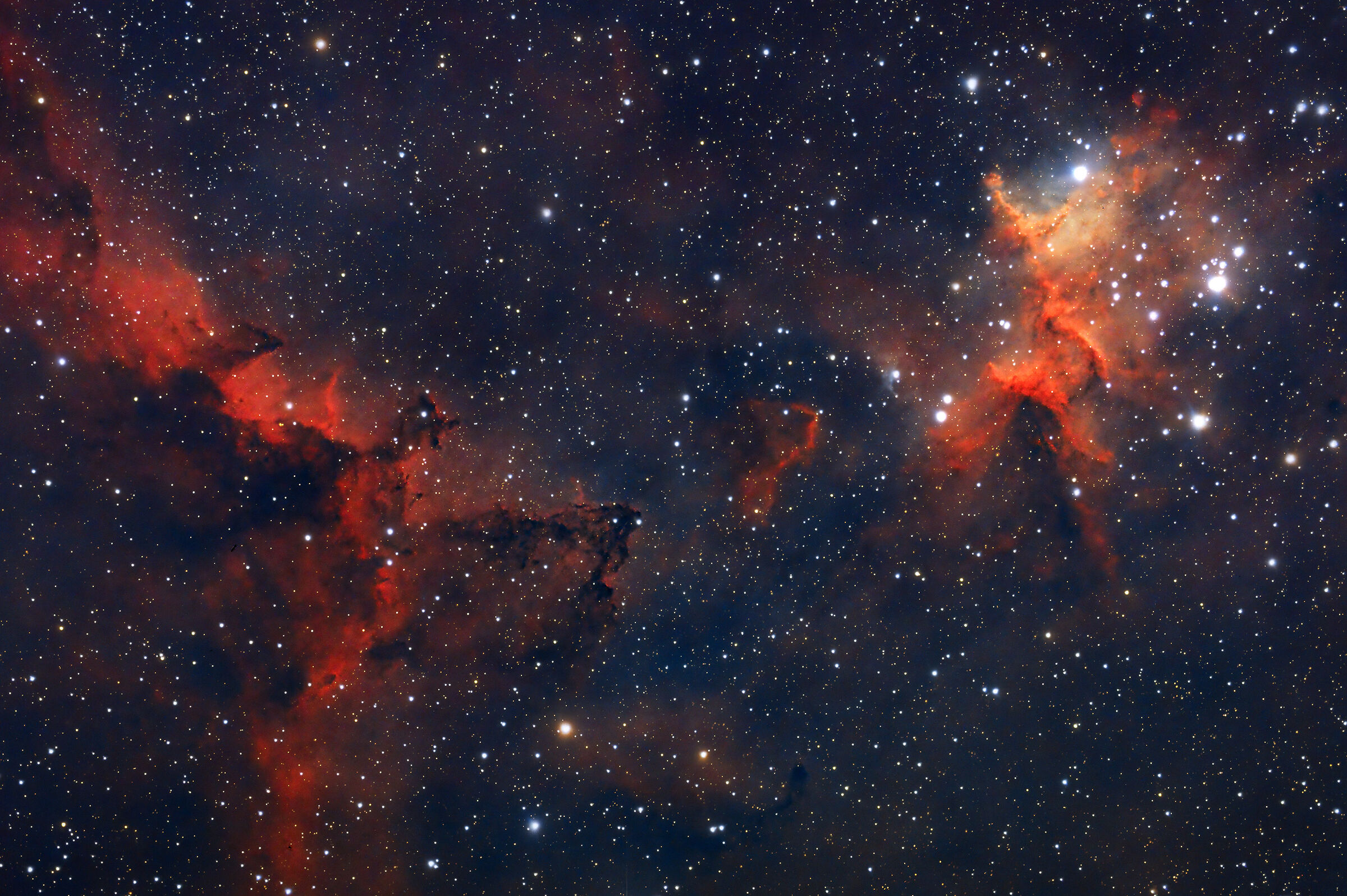 Il cuore della nebulosa cuore