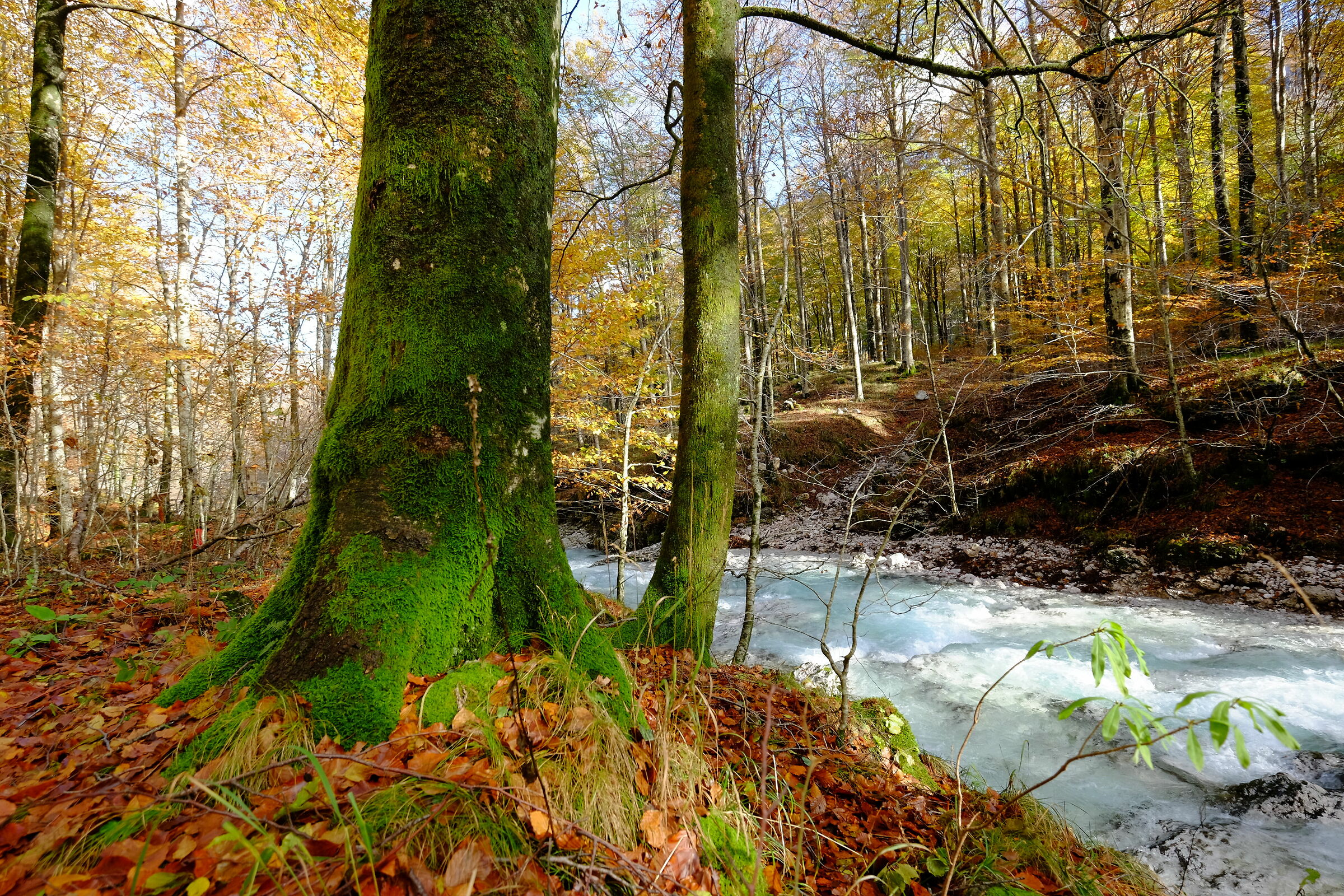 Il fiume NON scorre lento
