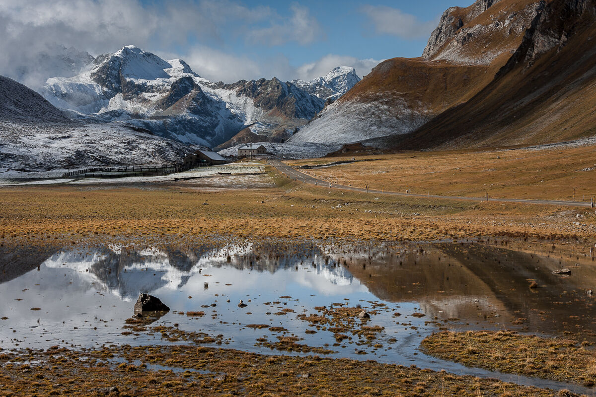 Albula's reflections ...