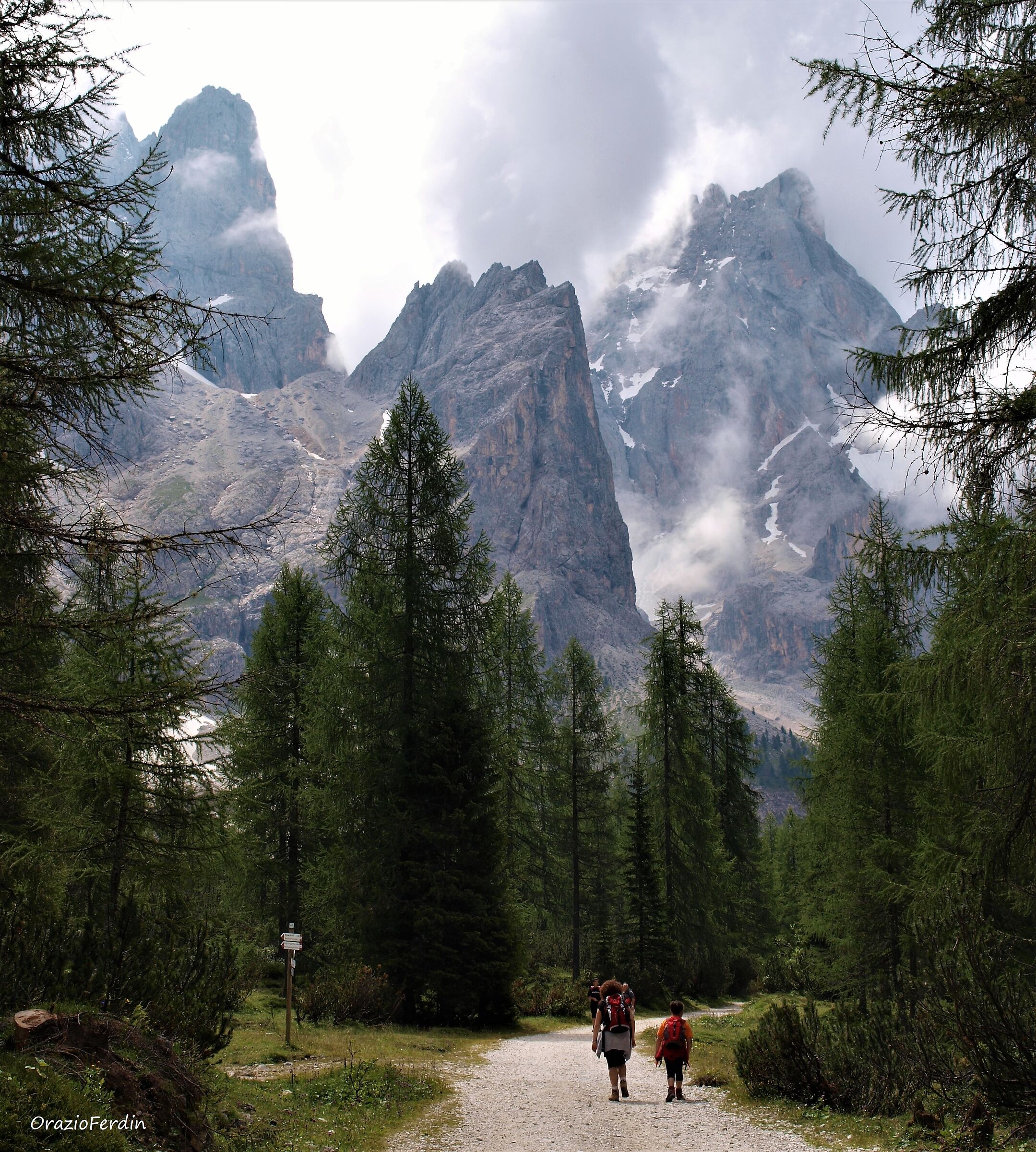 Pale di San Martino dalla val Venegia